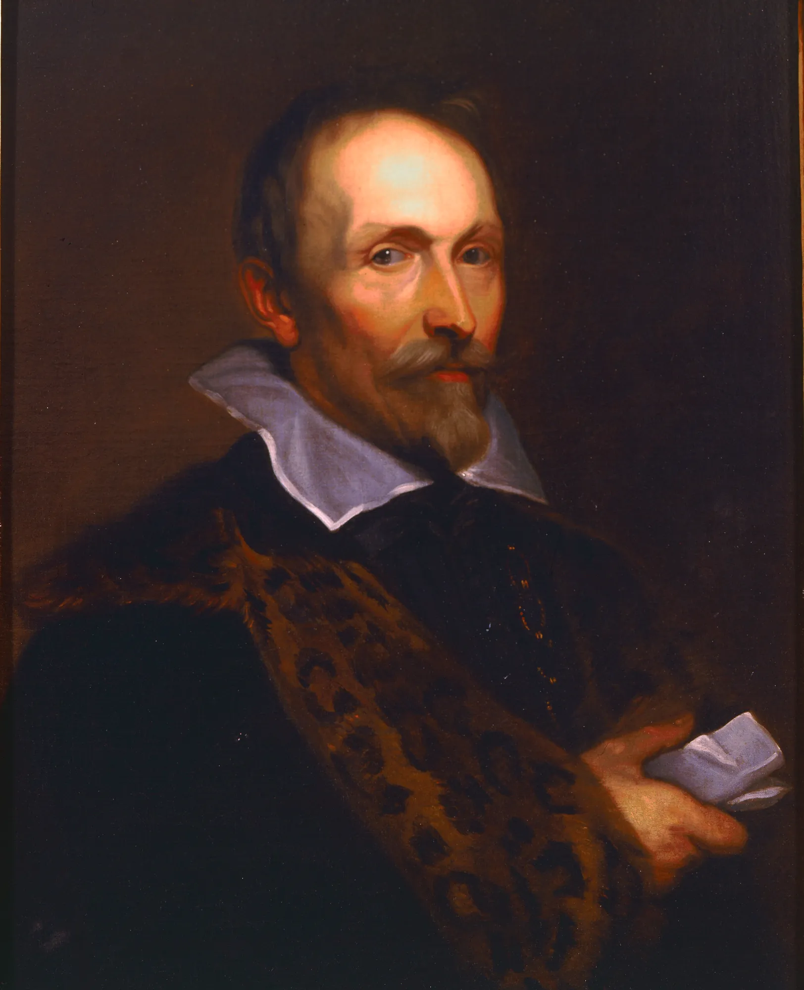 Portrait of Joannes Woverius