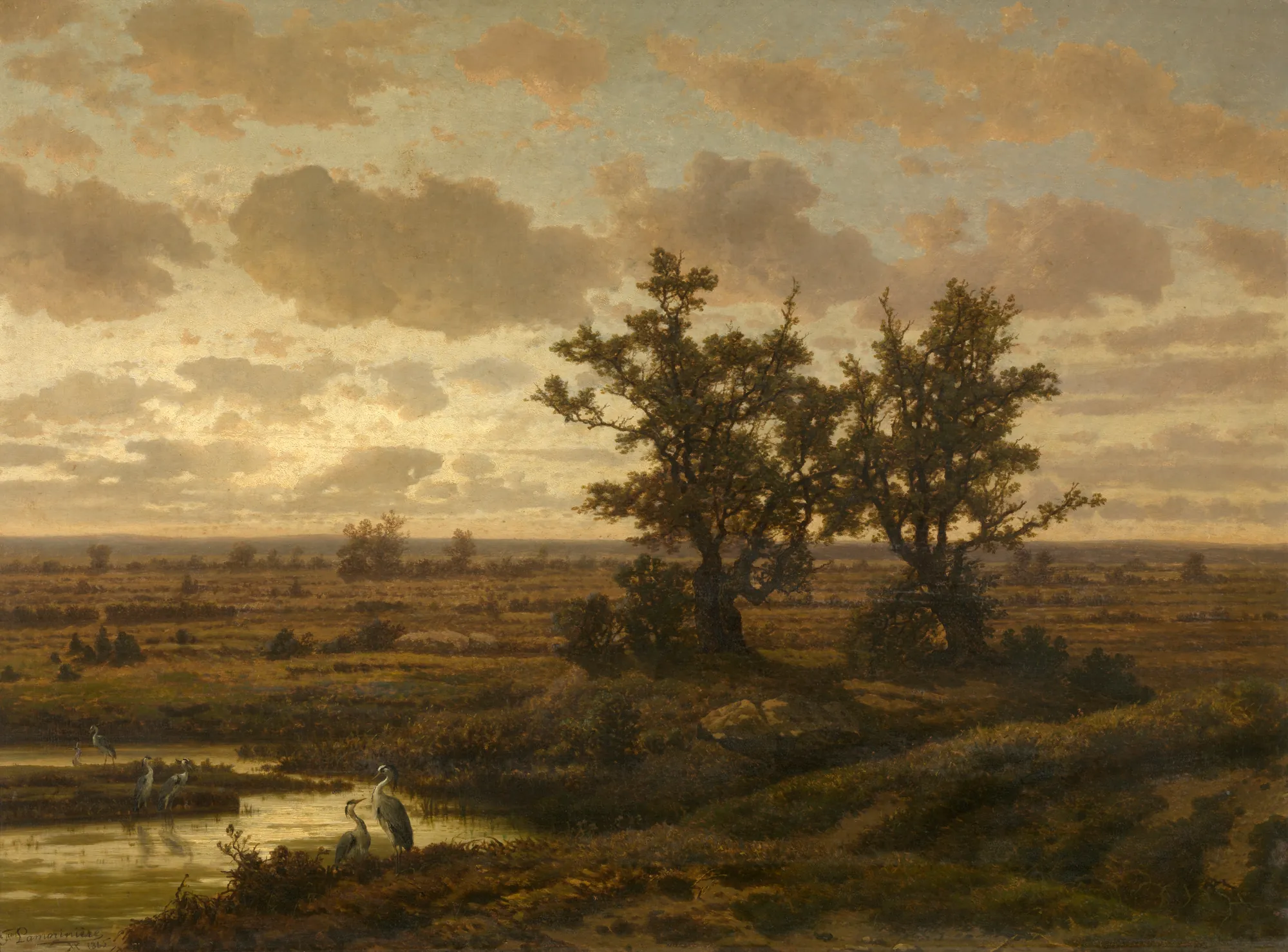 Fen in the Kempen