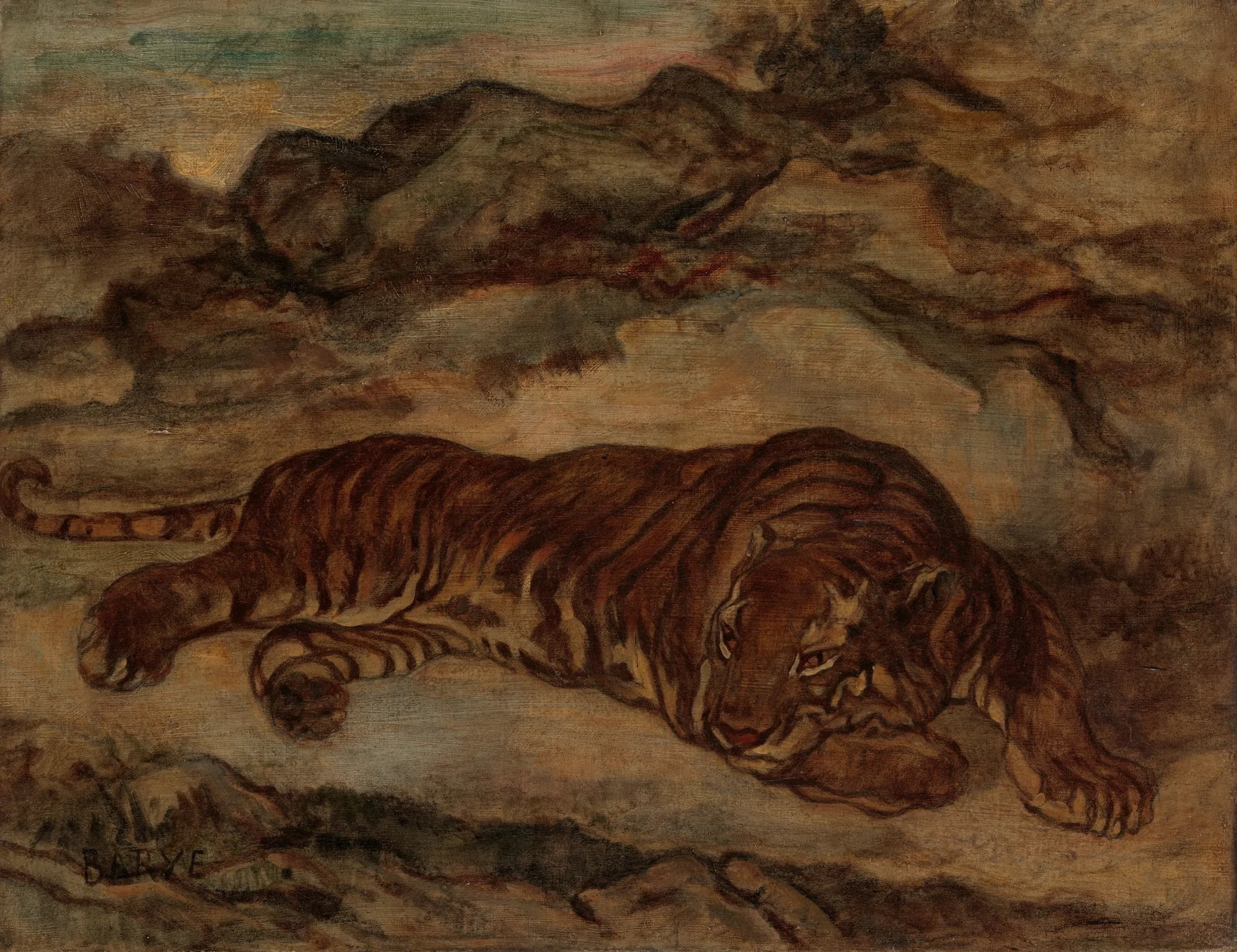 Tiger in Repose