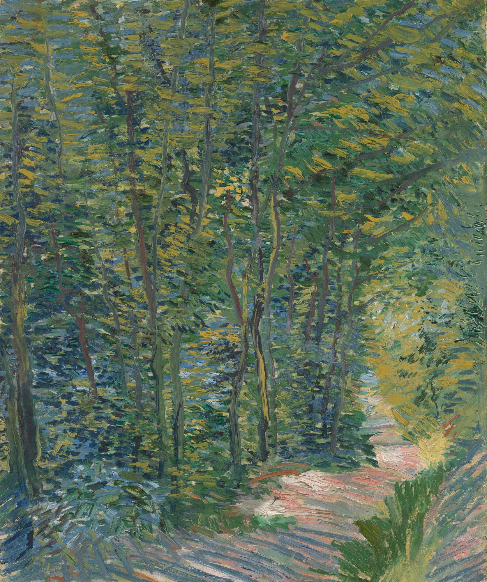 Path in the Woods