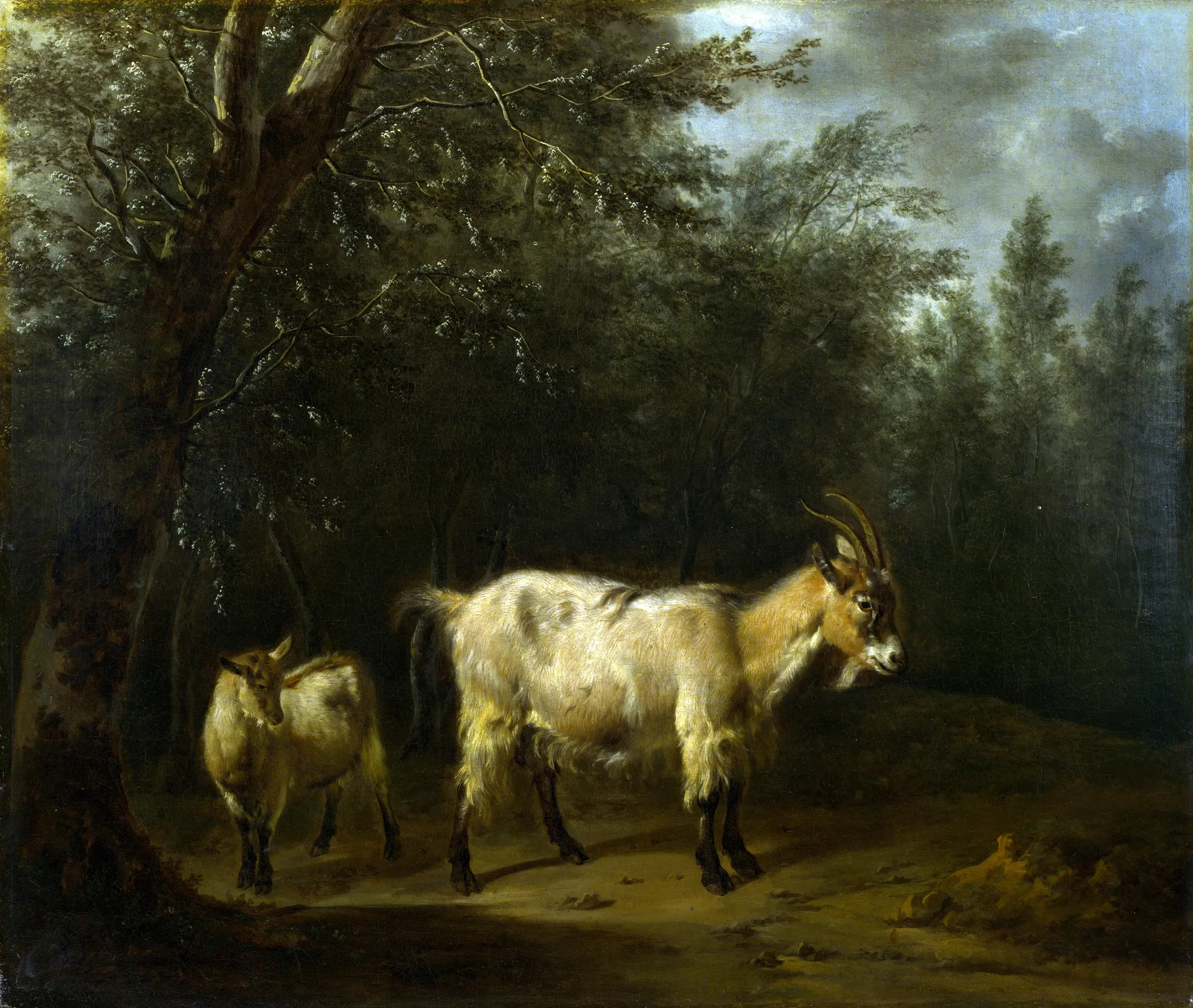 A Goat and a Kid