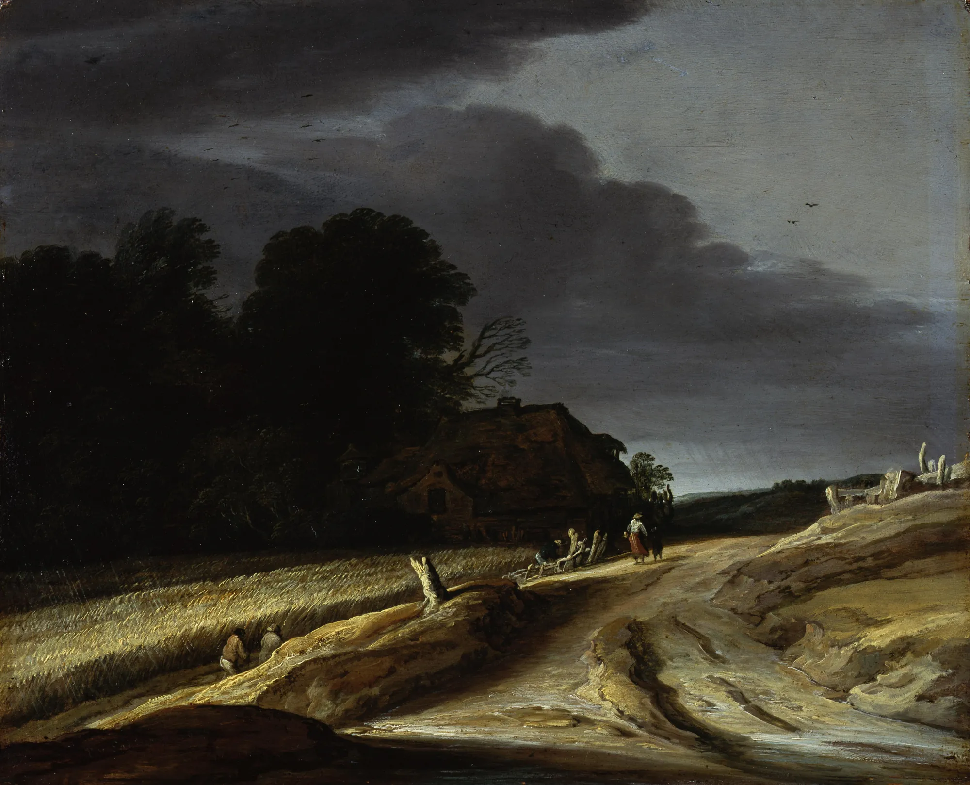 Dirt Track Near a Corn Field