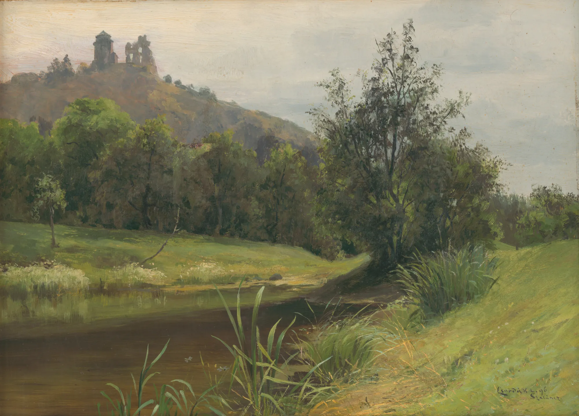 Marshland under Slanec Castle