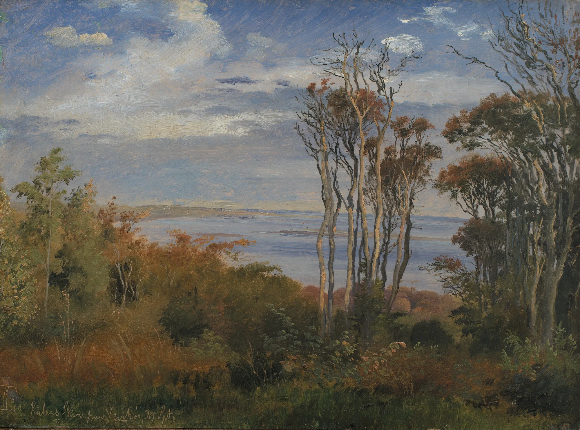 Kolås Wood, Vejrhøj
