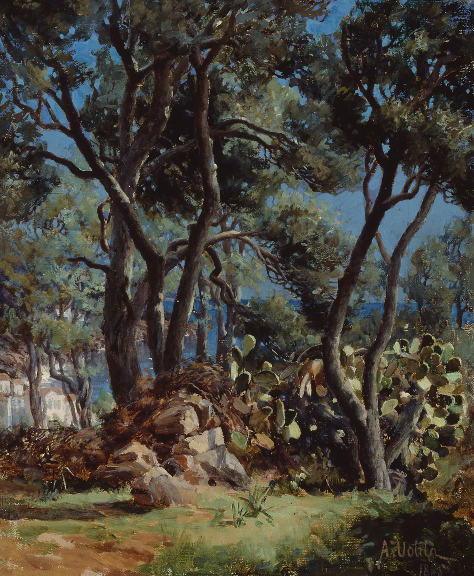 Olive Grove Olive Grove by Aukusti Uotila. A dense grove of mature olive trees with gnarled trunks stands amidst cacti and rocks, with a glimpse of a coastal town and sea in the background.