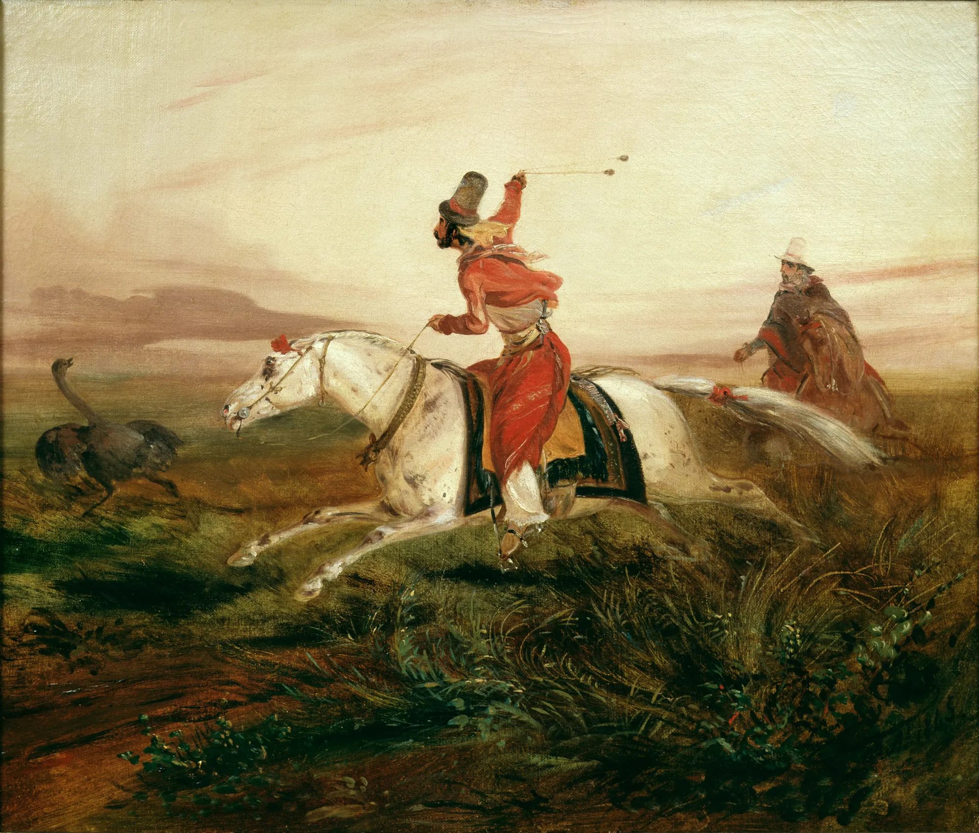 Hunting Ostriches