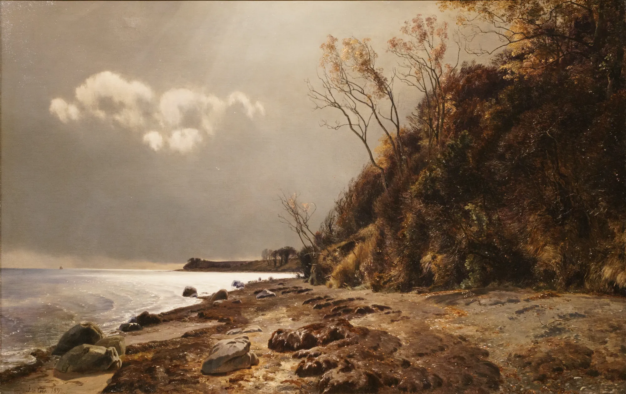 The Shore at Moesgård