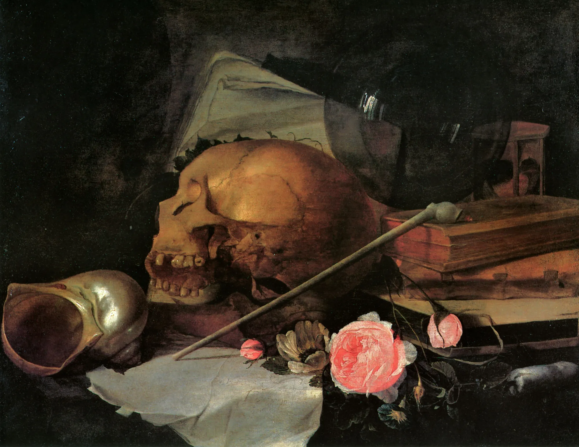 Vanitas Still Life with a Skull and Nautilus Shell