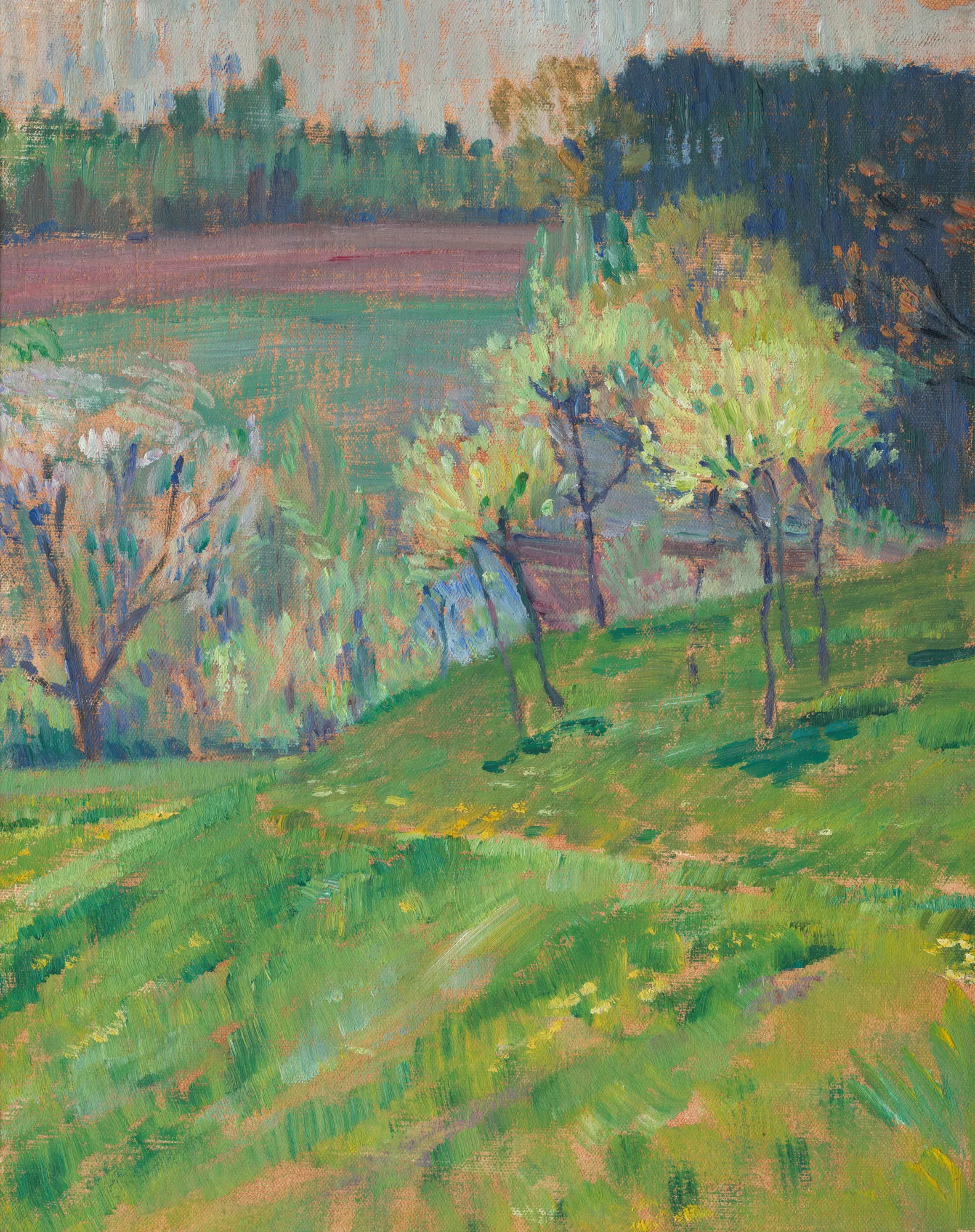 Flowering Orchard