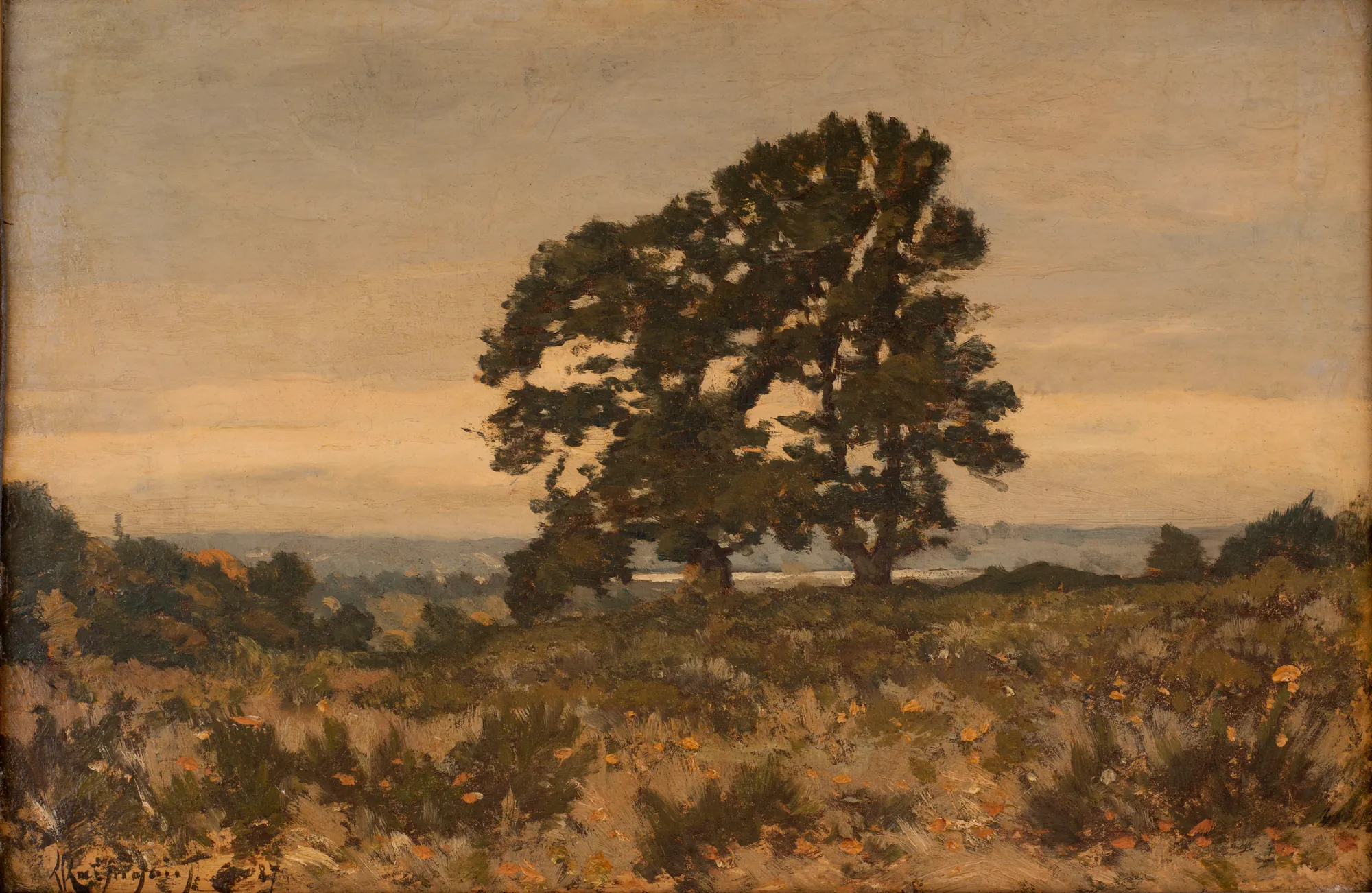 Two Trees at the Edge of a Forest