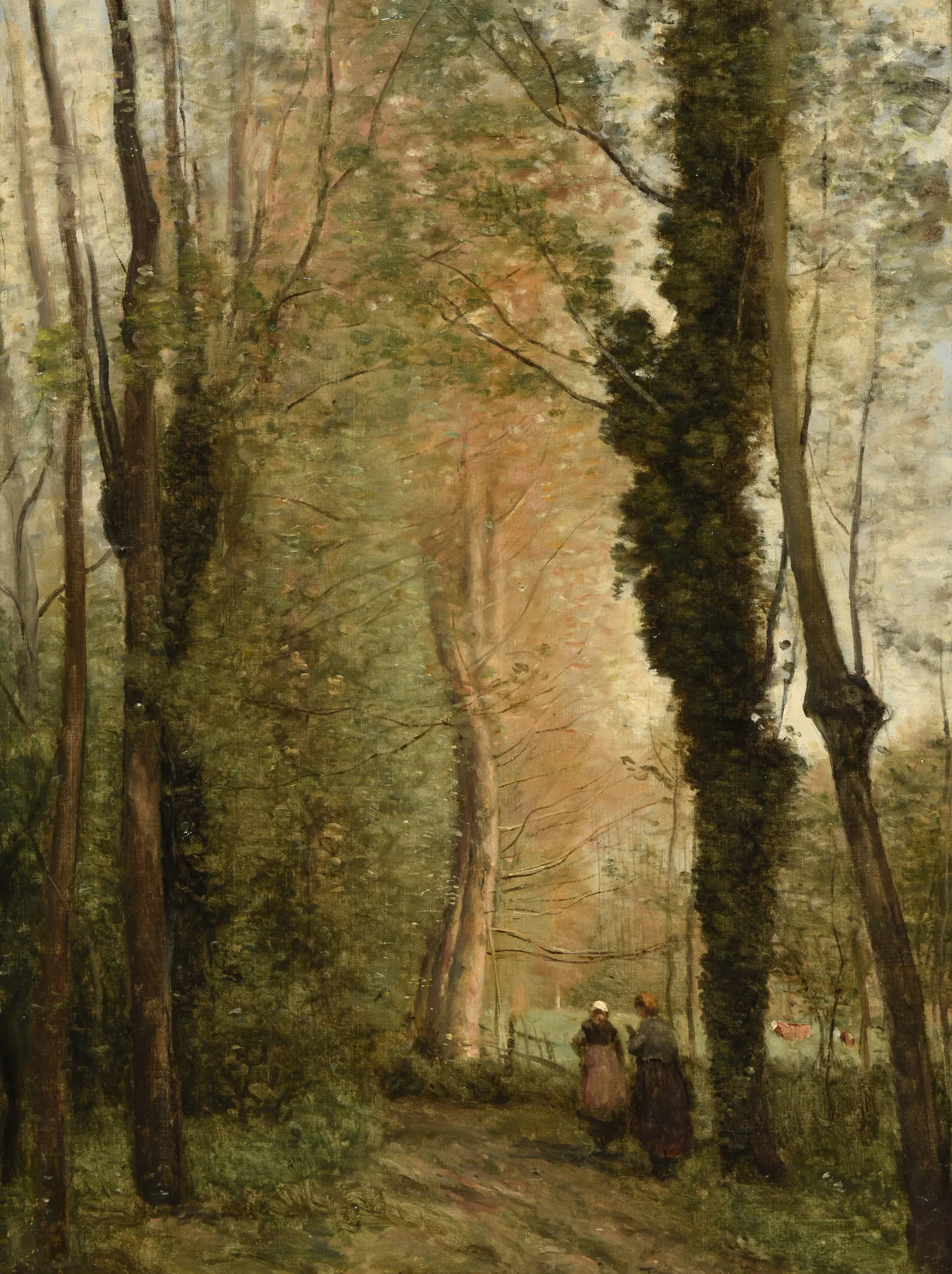A Path Under the Trees in Spring