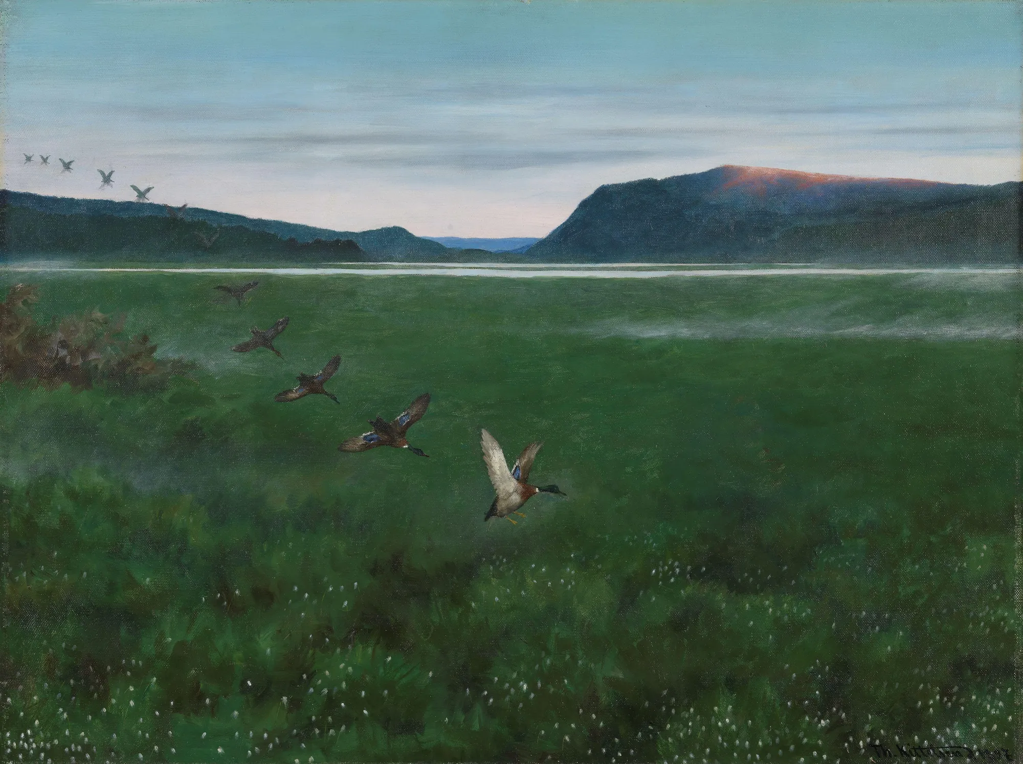 The Twelve Wild Ducks