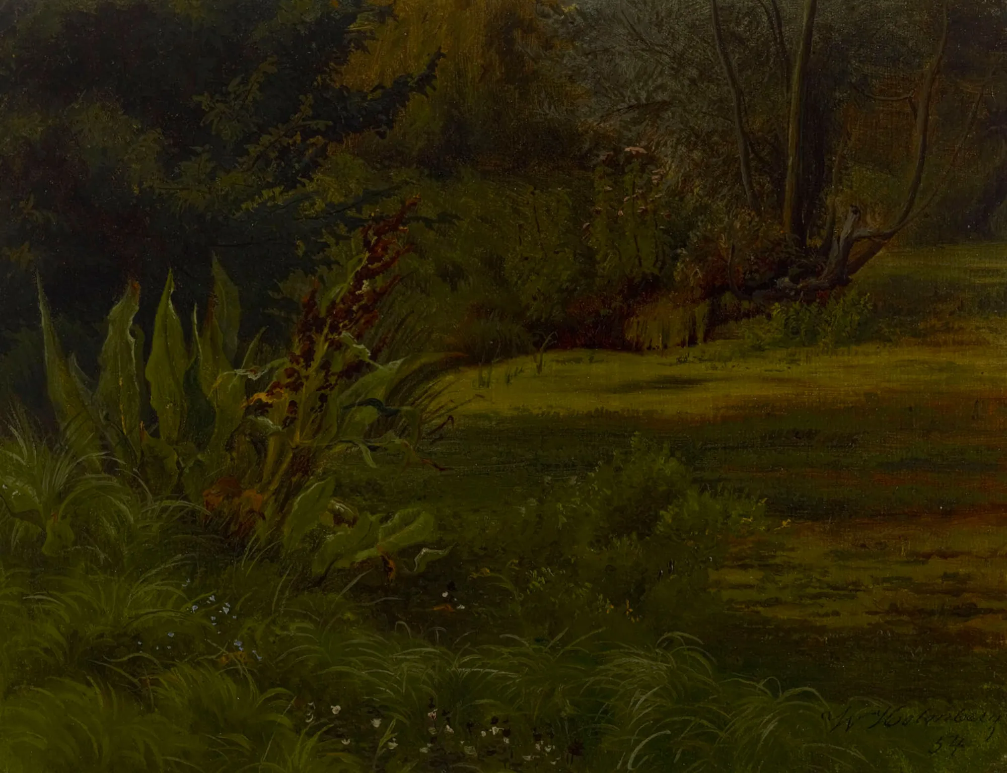 Pond in the Forest (Study)
