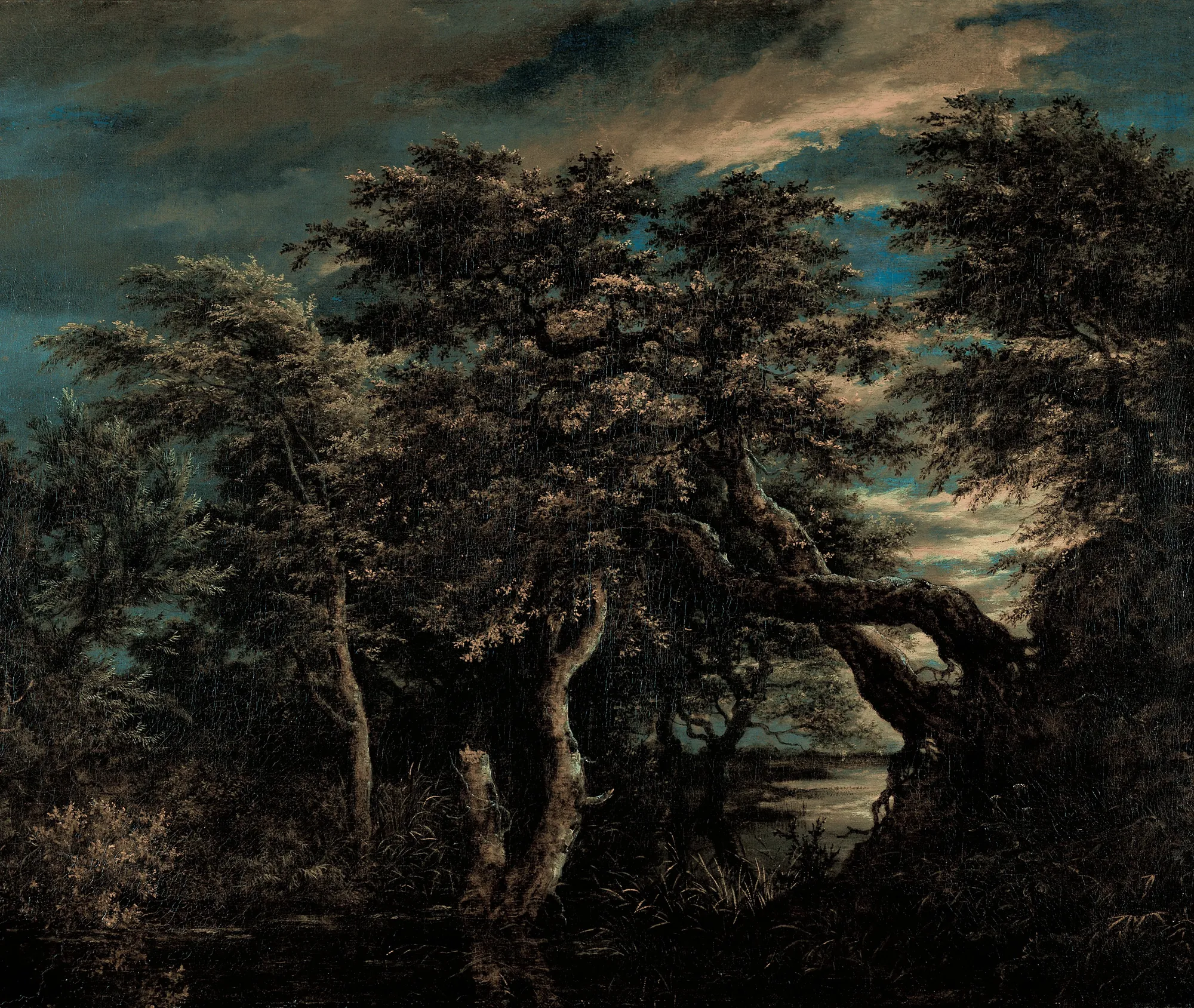 Marsh in a Forest at Dusk