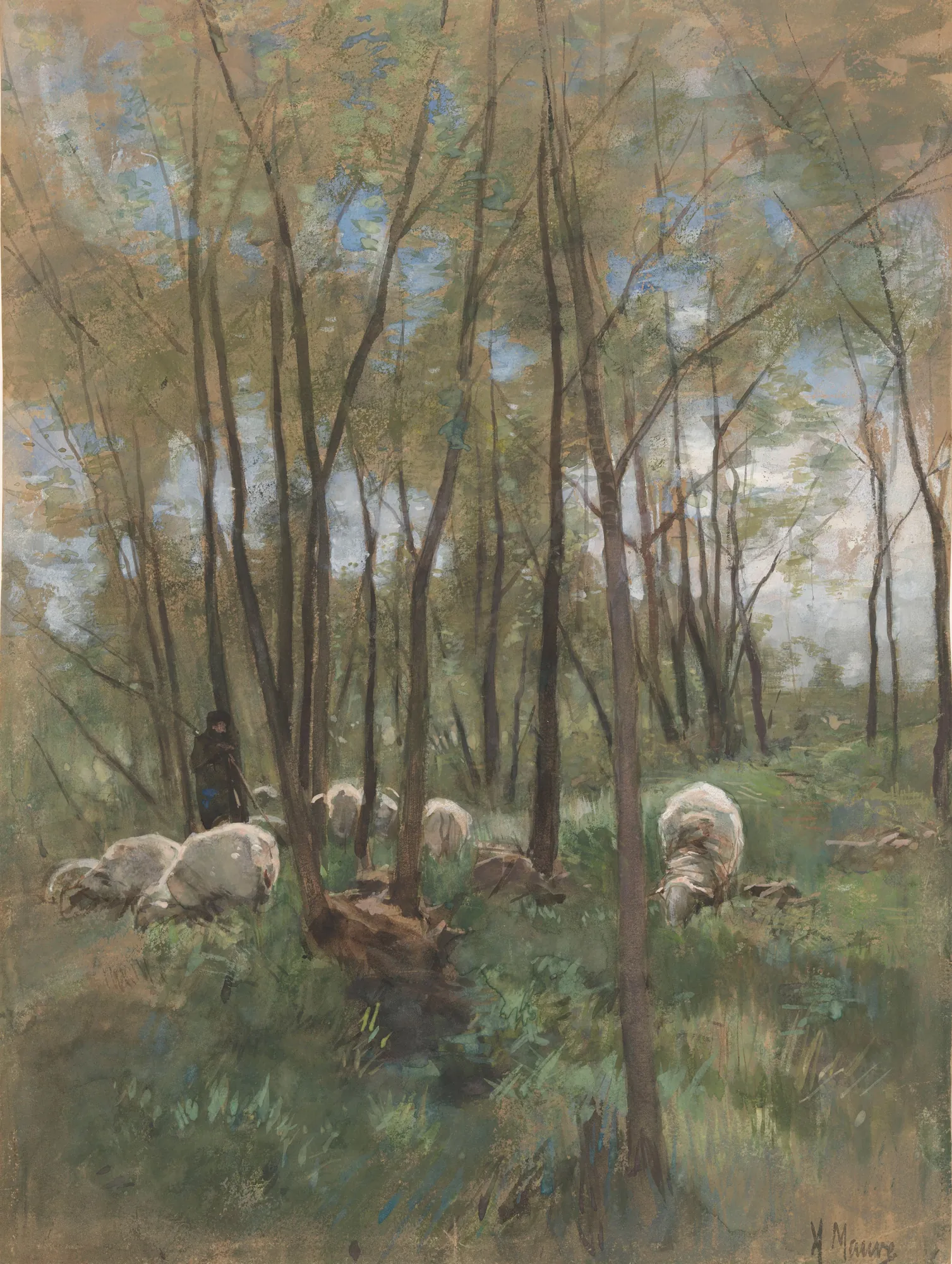 Flock of Sheep in a Forest
