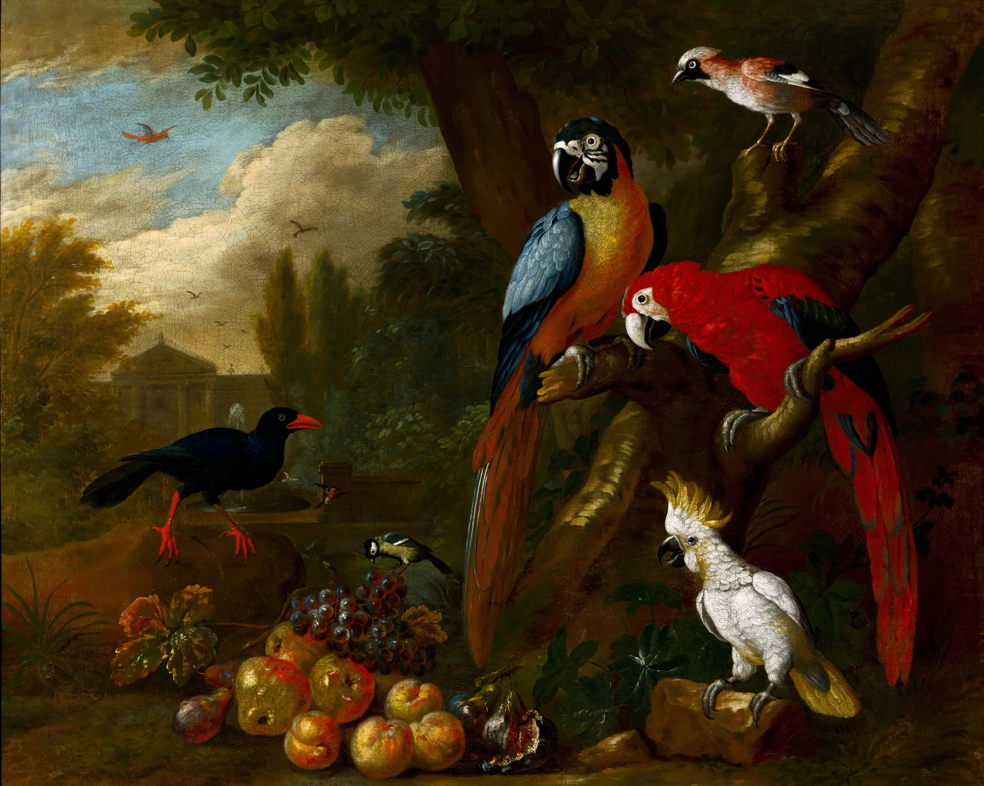 Two Macaws, a Cockatoo and a Jay, with Fruit