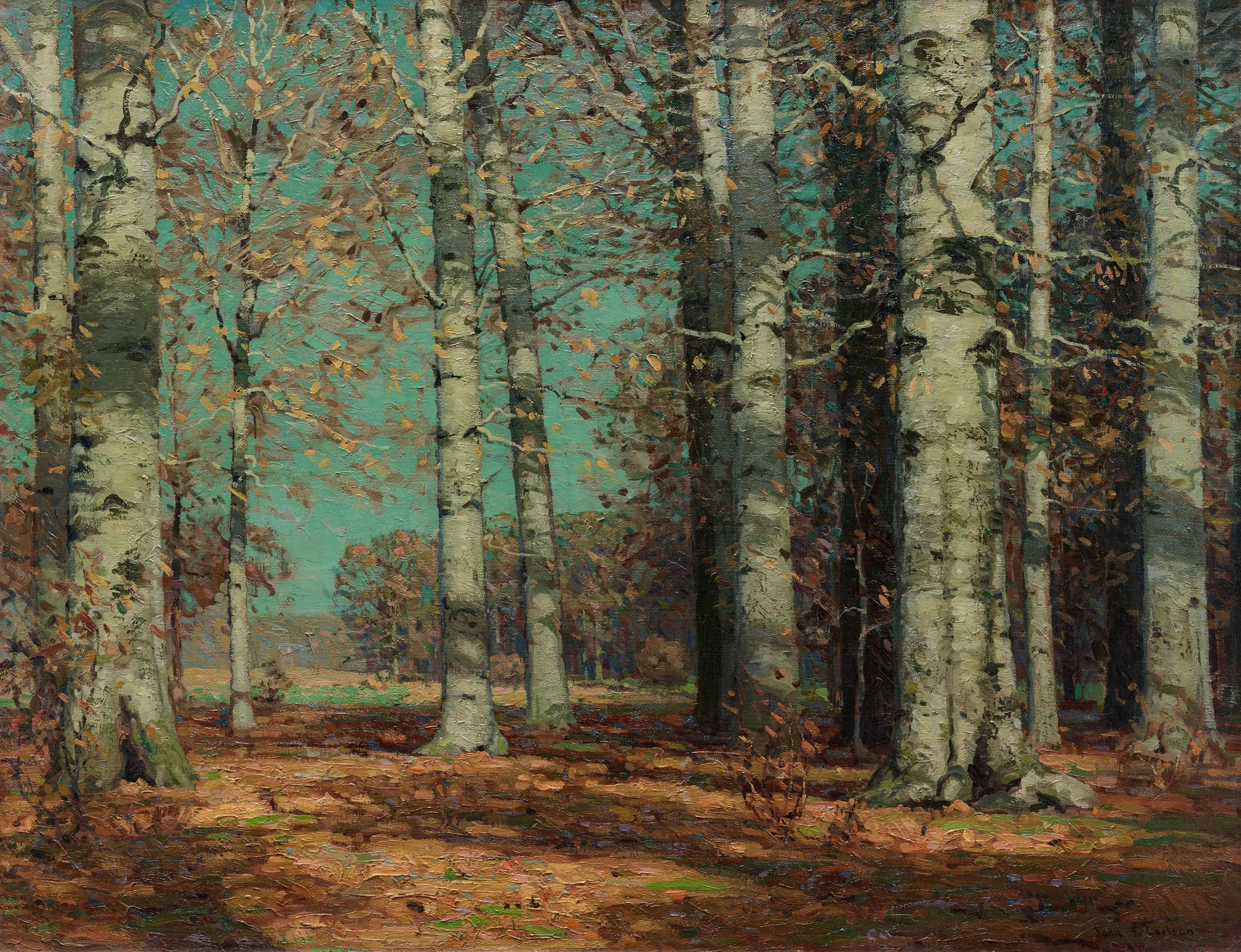 Autumn Beeches