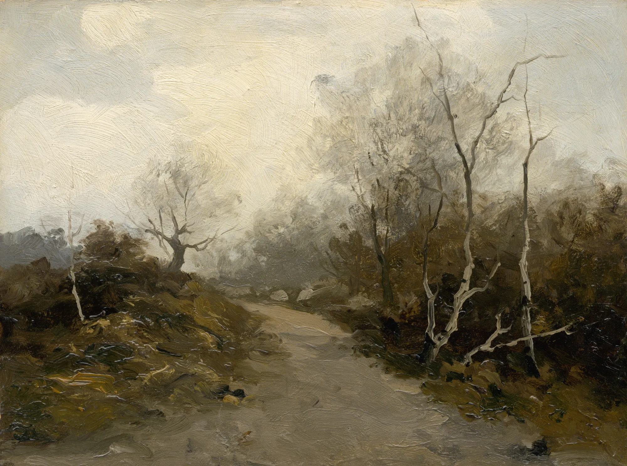 Forest Road