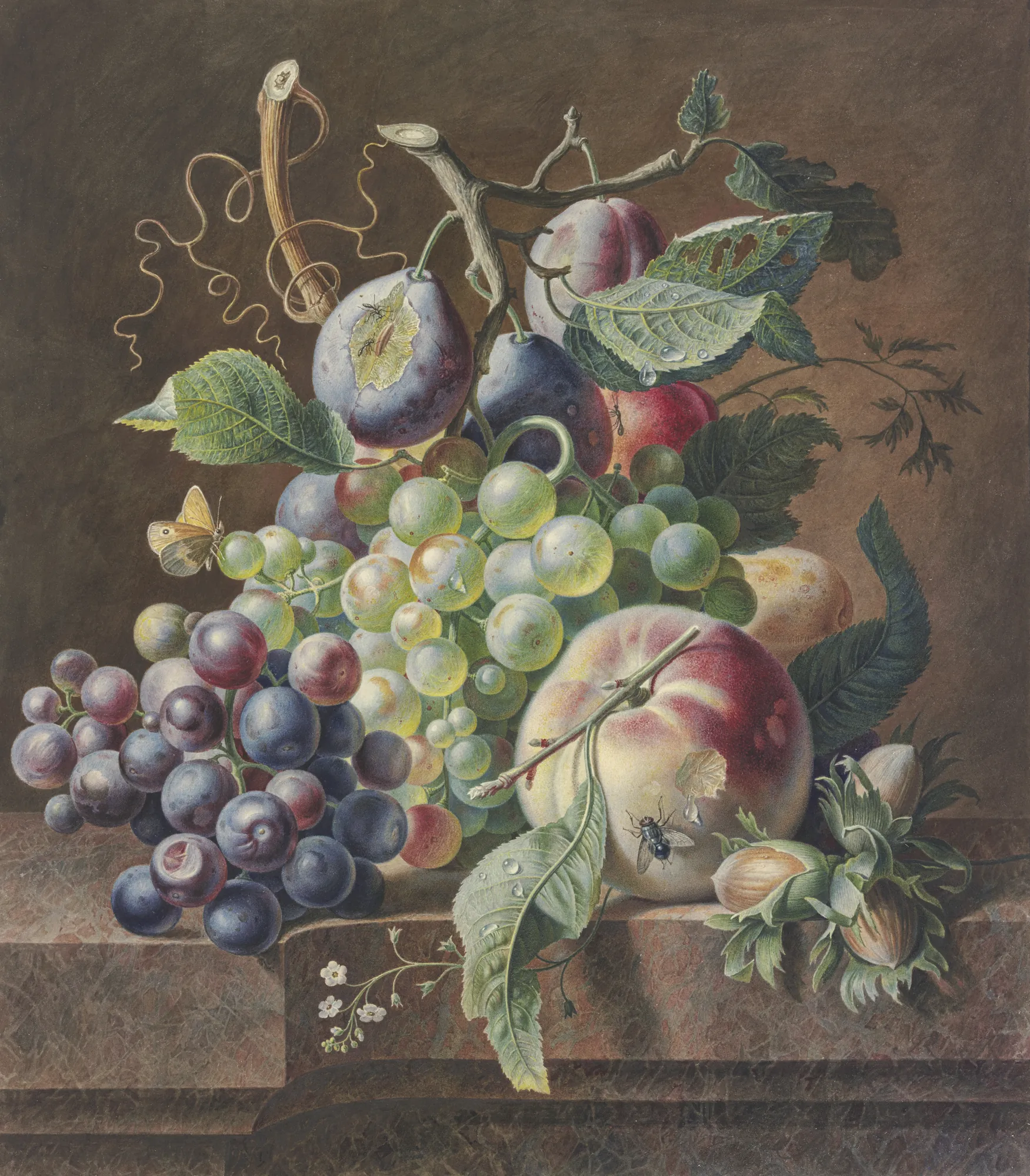 Fruit Still Life with Hazelnuts