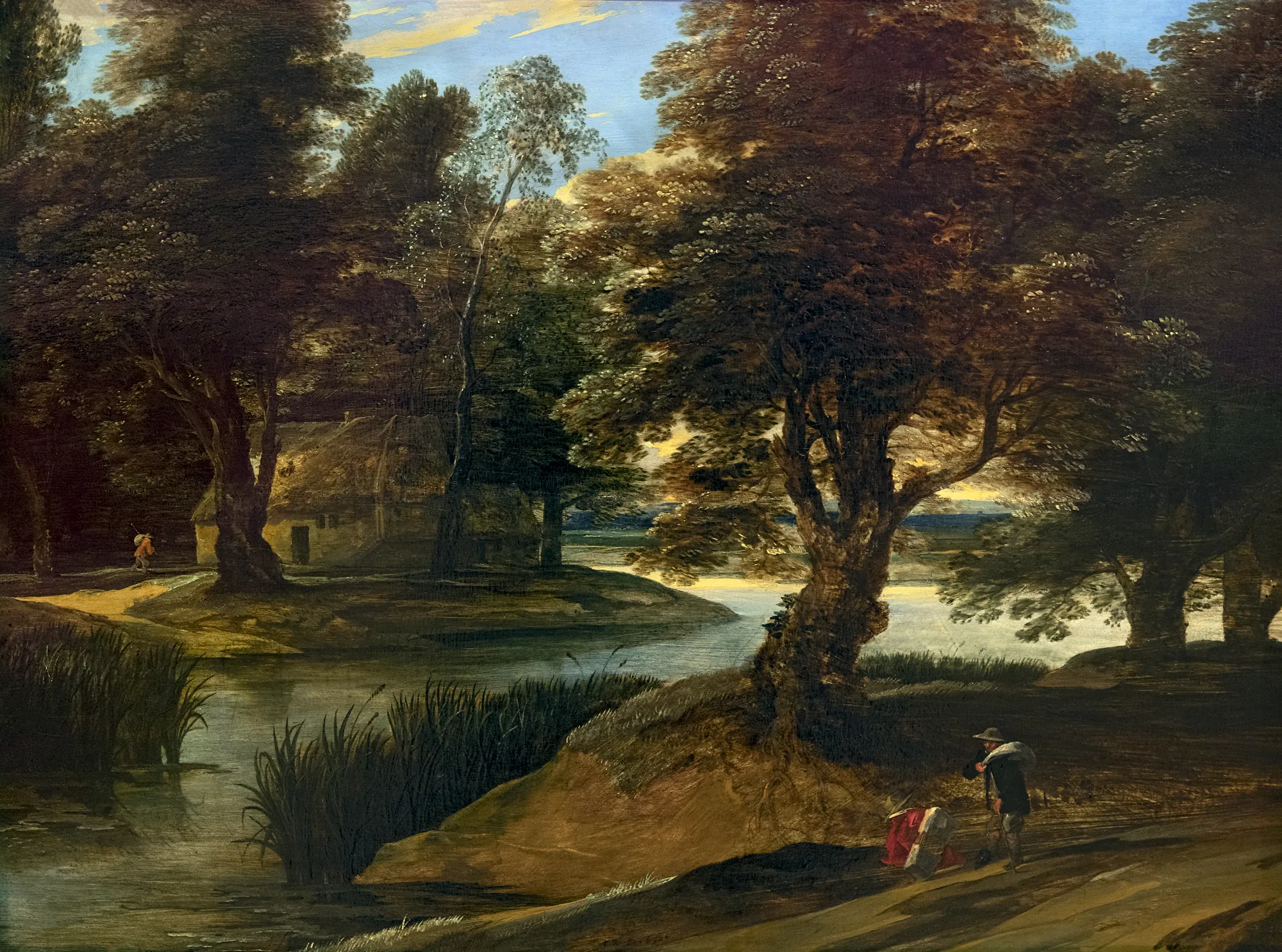 Wooded Swamp