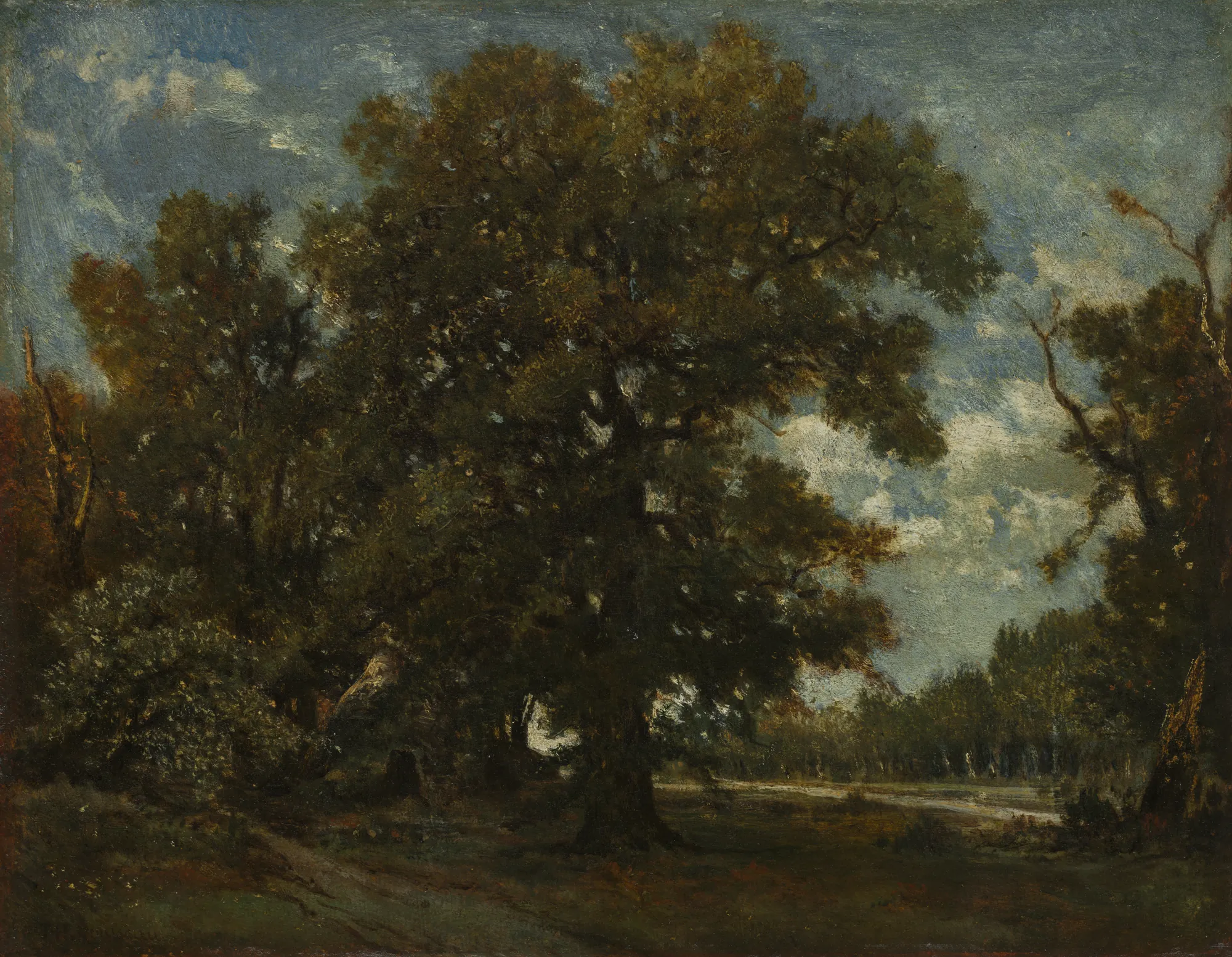 The Oak Tree