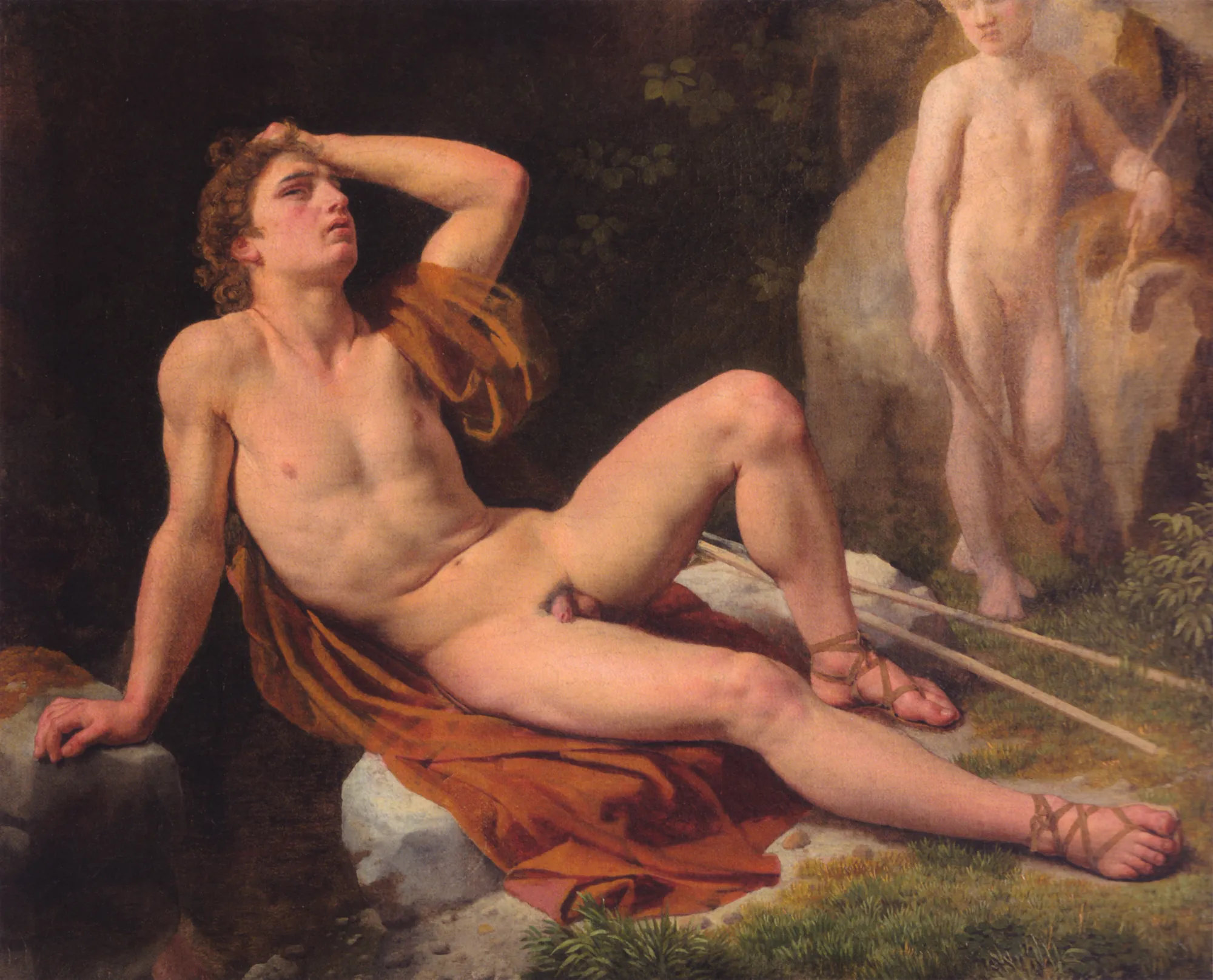Narcissus