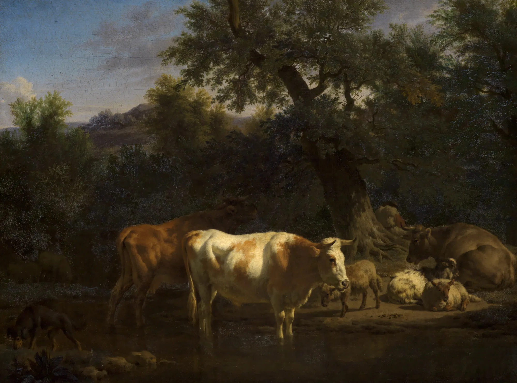 Forest Landscape with Resting Cows and Sheep