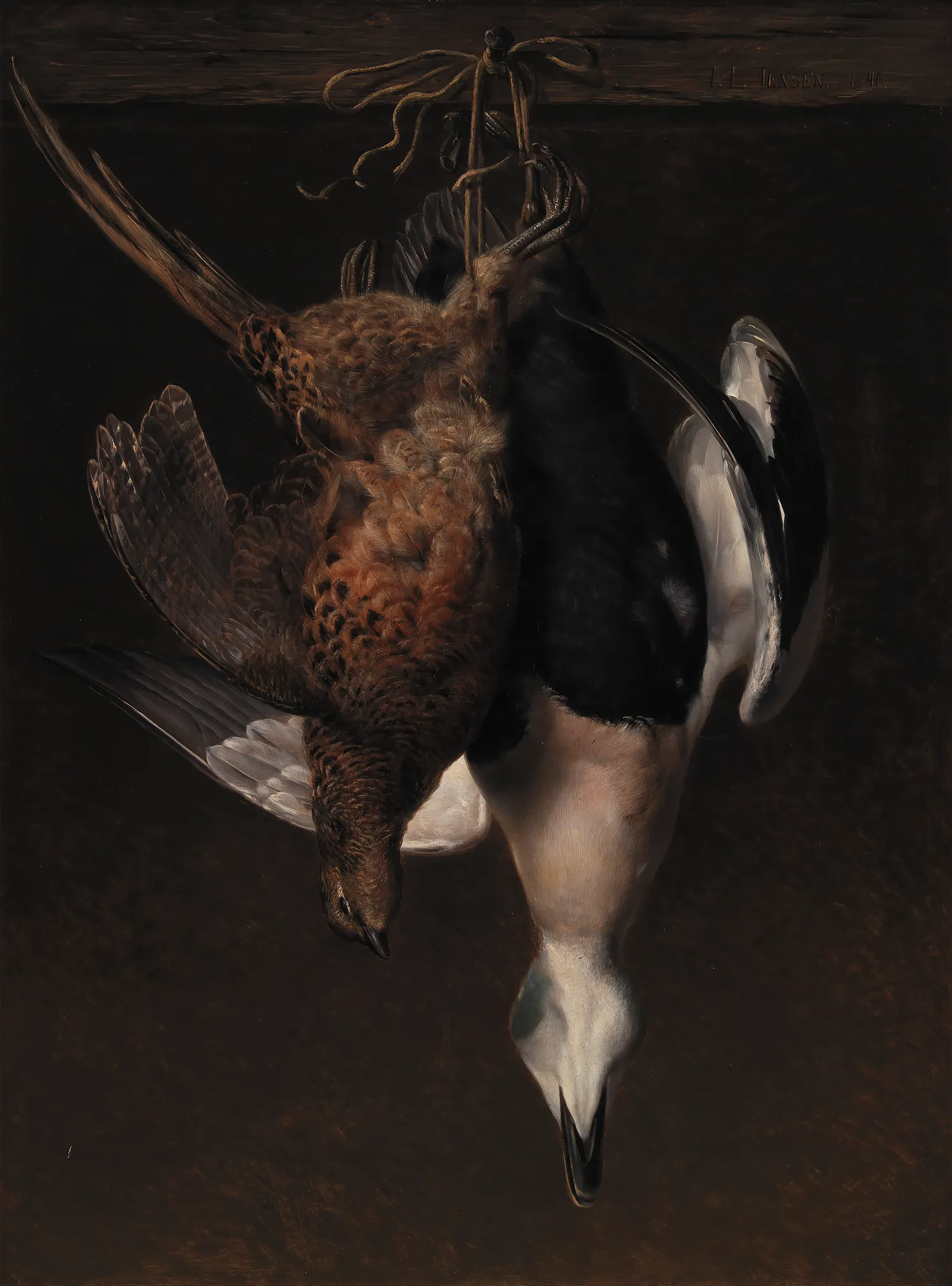 A Pheasant and an Eider