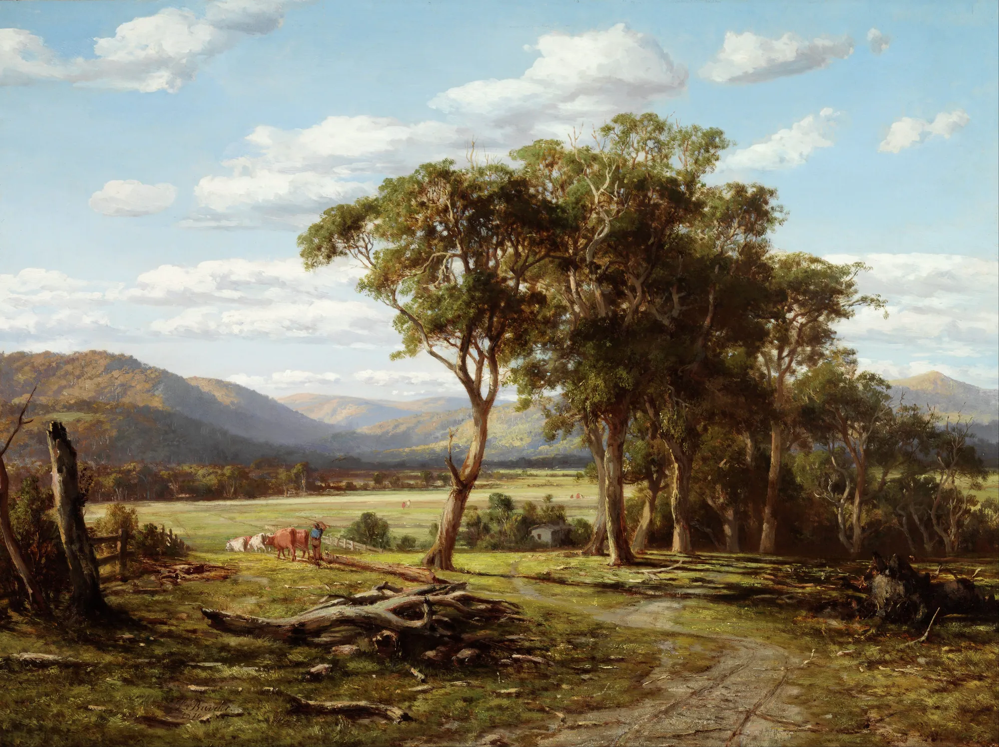 At Lilydale