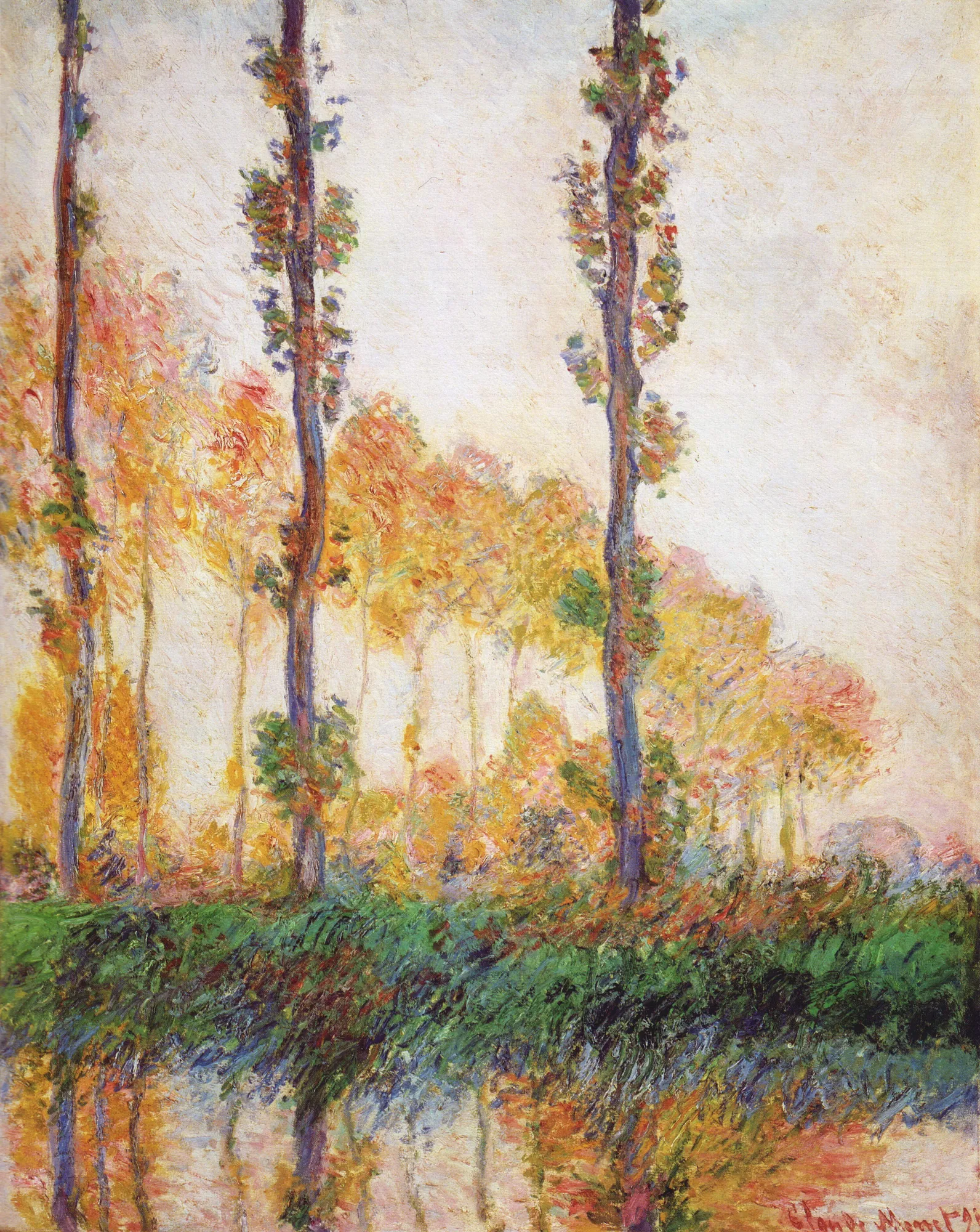 Poplars (Autumn)