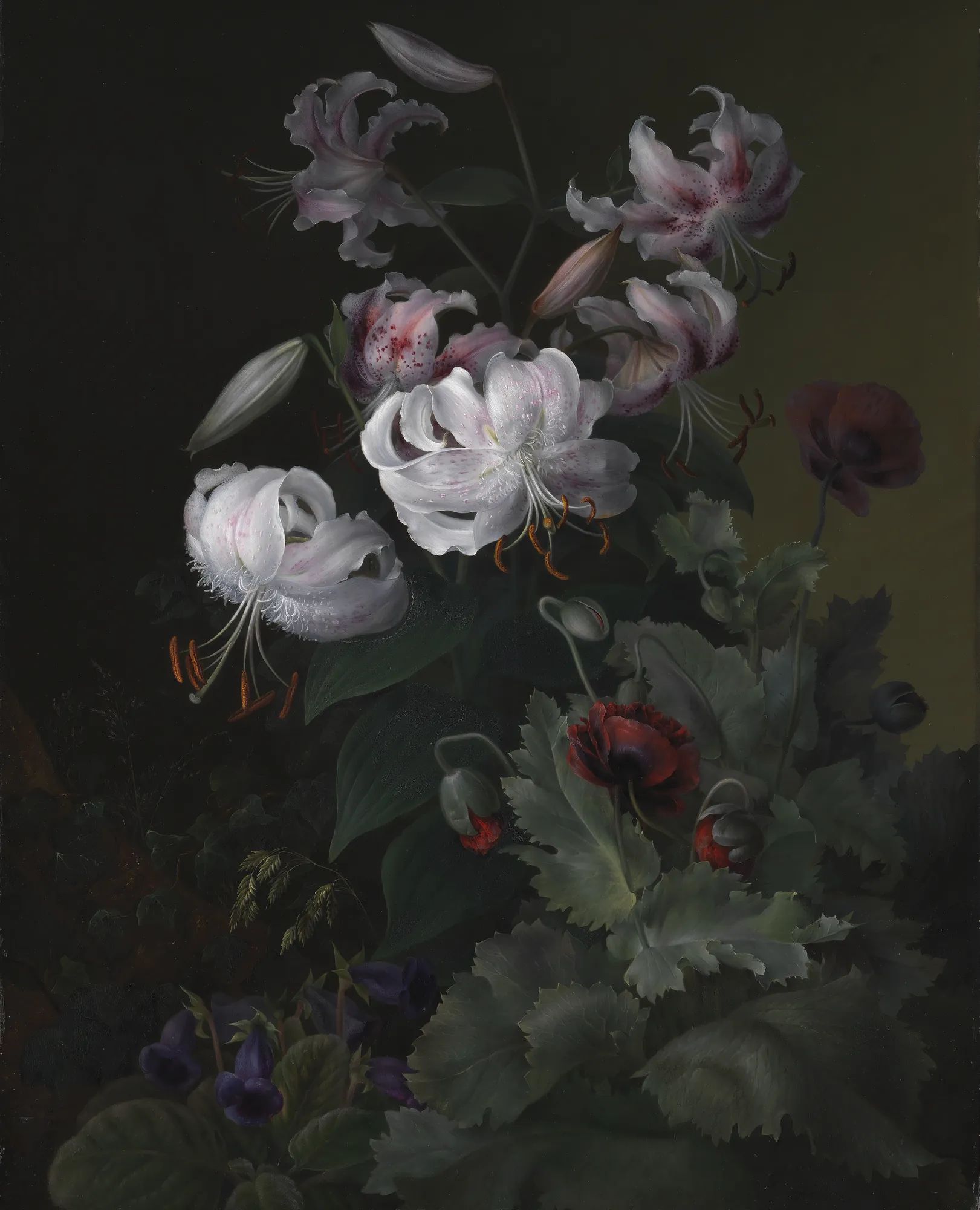 Flowering Plants