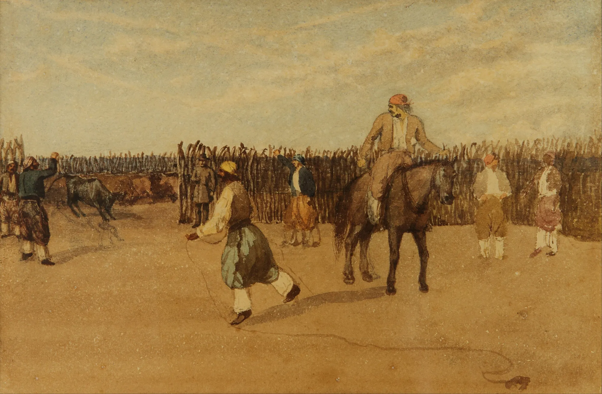 In the Corral