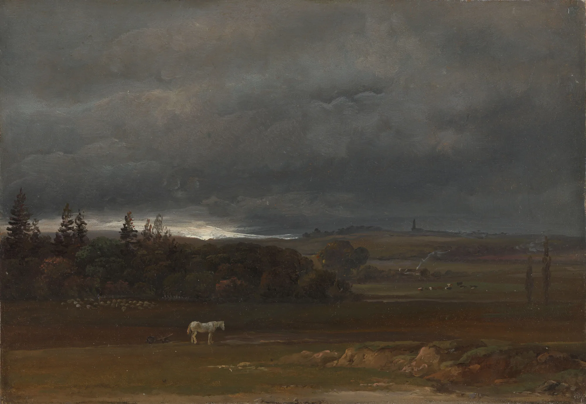 Fields near Dresden with a White Horse