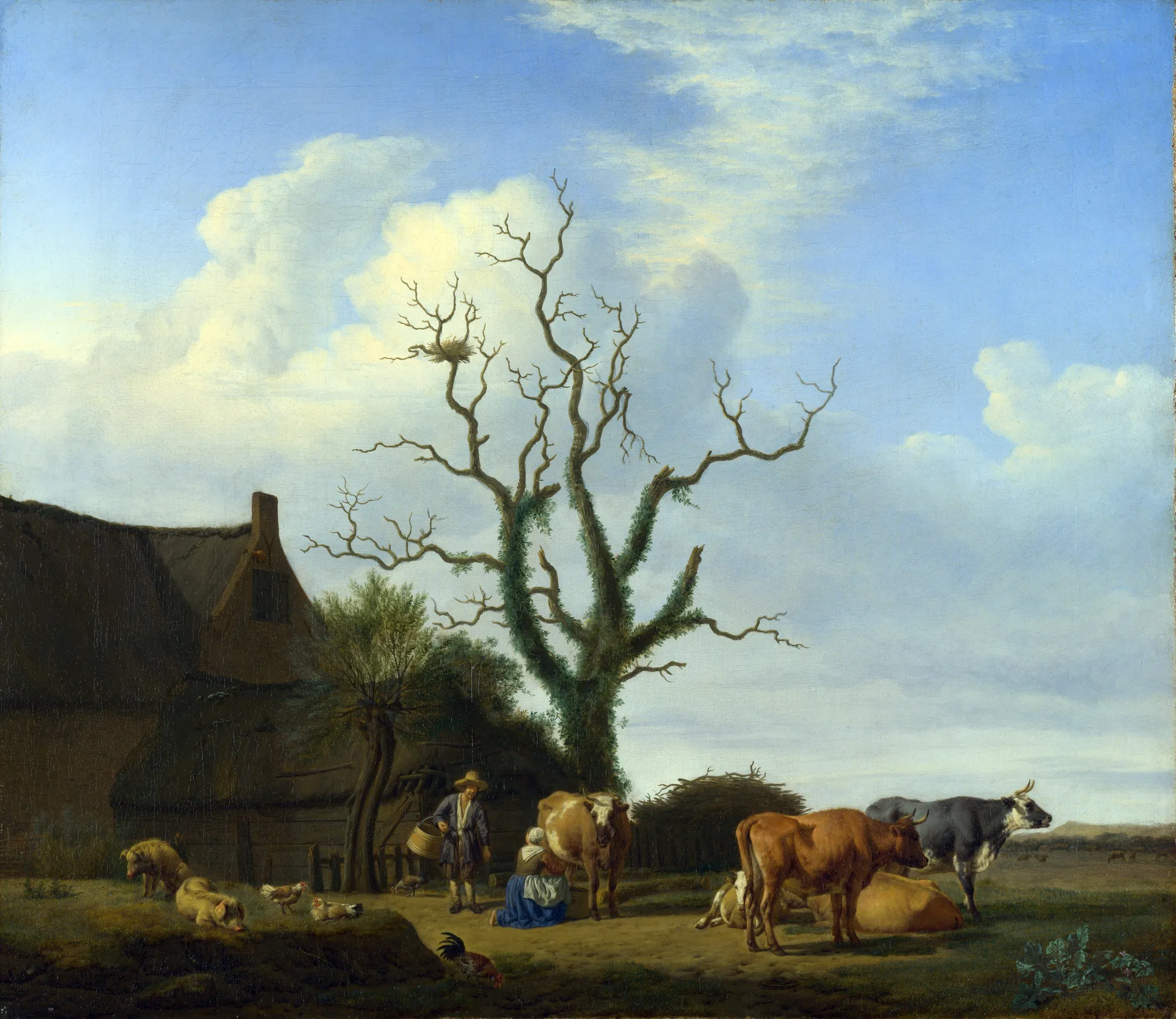 A Farm with a Dead Tree