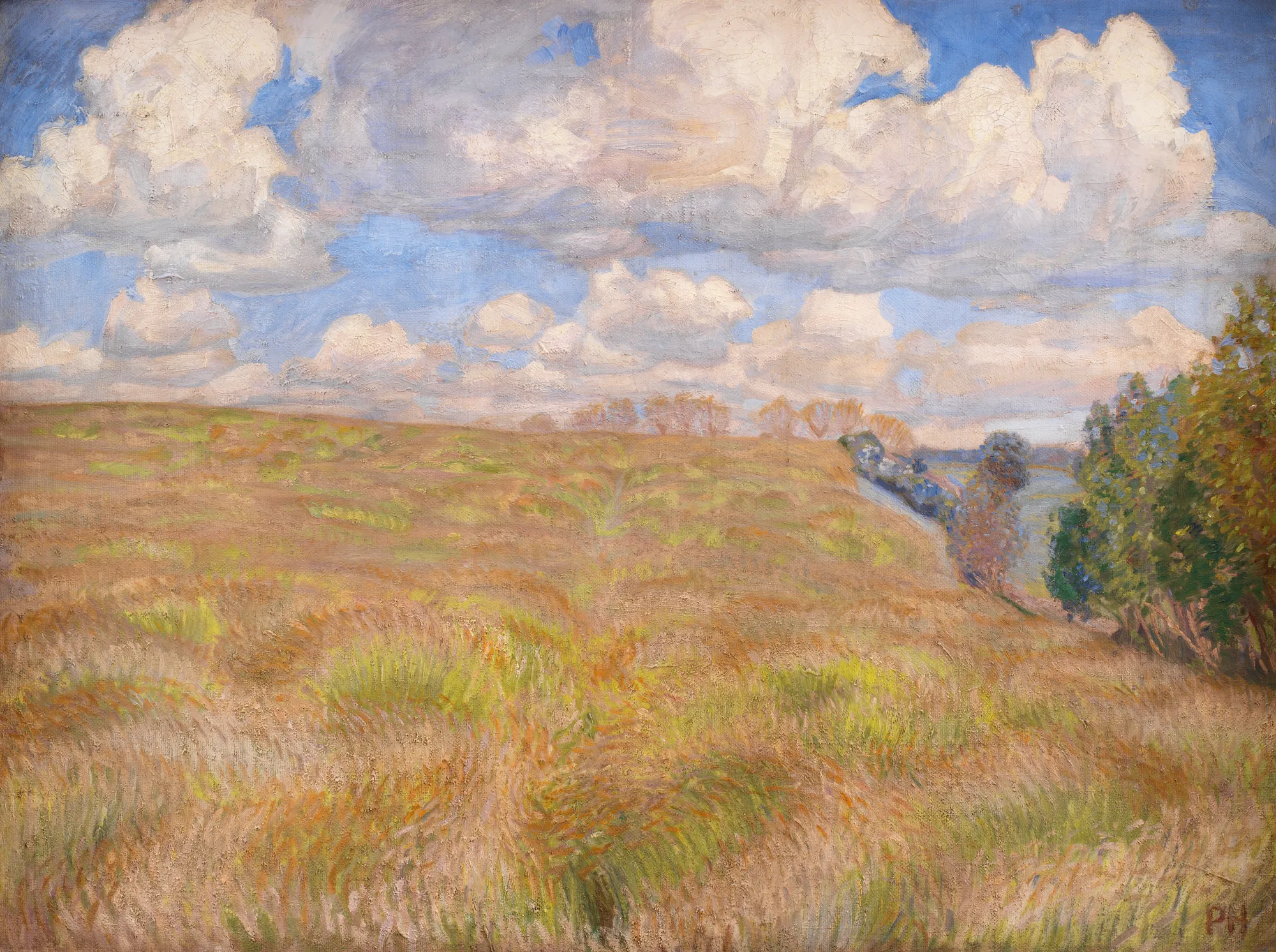 A Field of Waving Rye