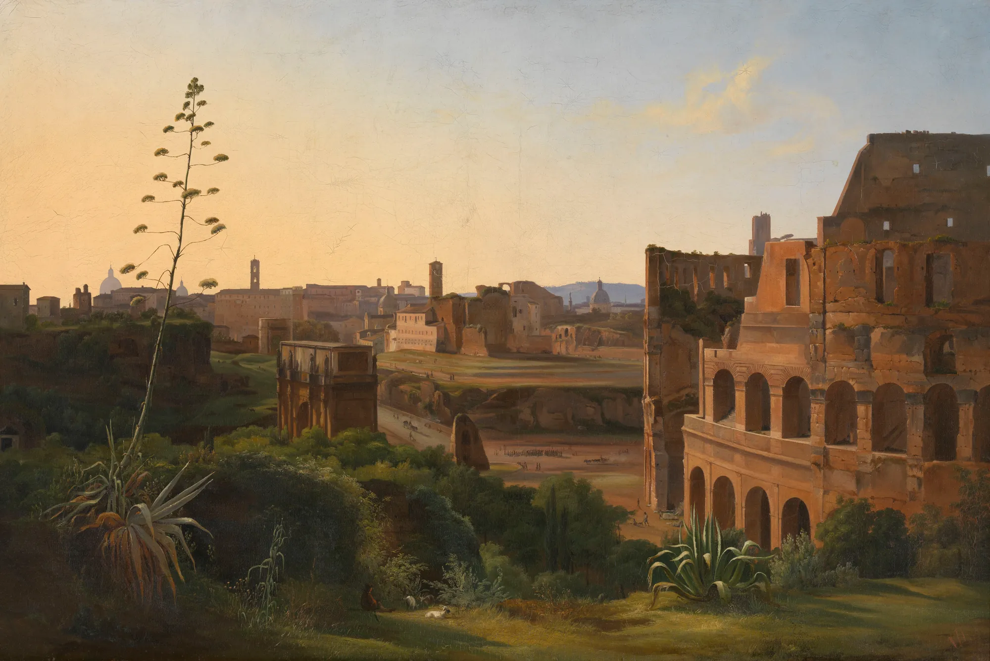 View of the Colosseum in Rome