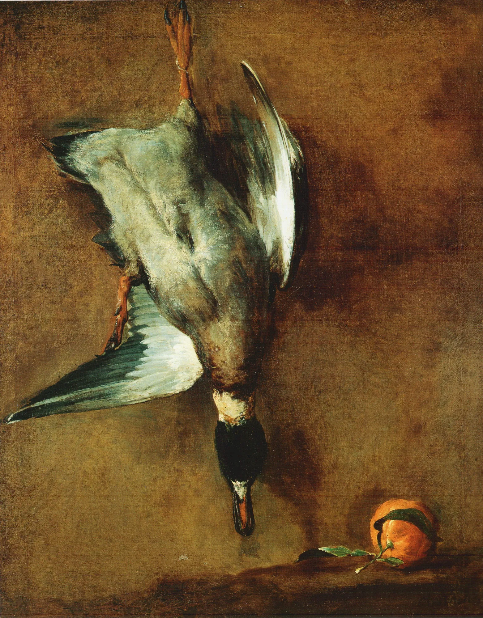 Mallard Duck and Bitter Orange Mallard Duck and Bitter Orange by Jean-Baptiste-Siméon Chardin. A mallard duck hangs by one leg against a textured brown wall, positioned above a single bitter orange with green leaves.