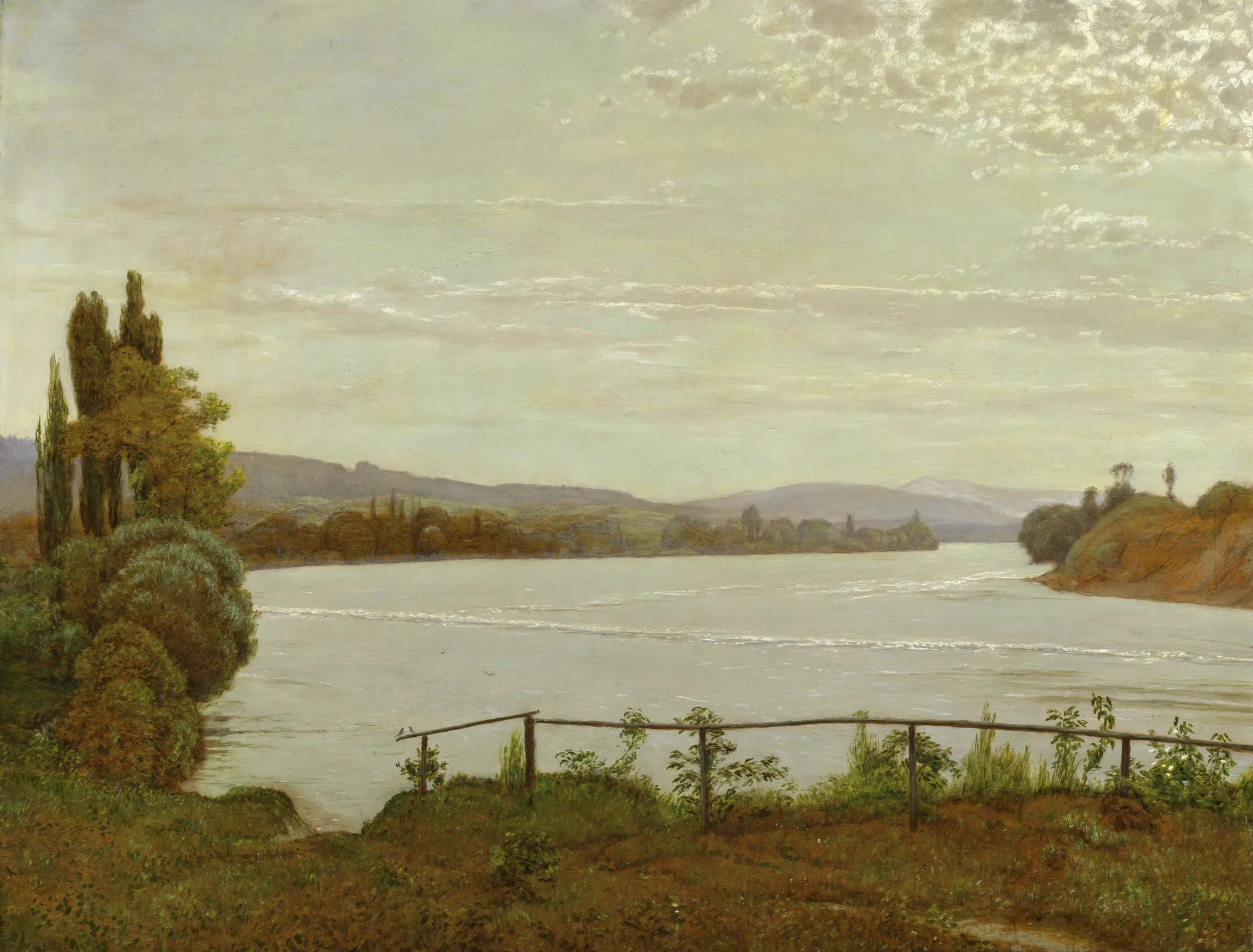 Morning on the Upper Rhine near Säckingen