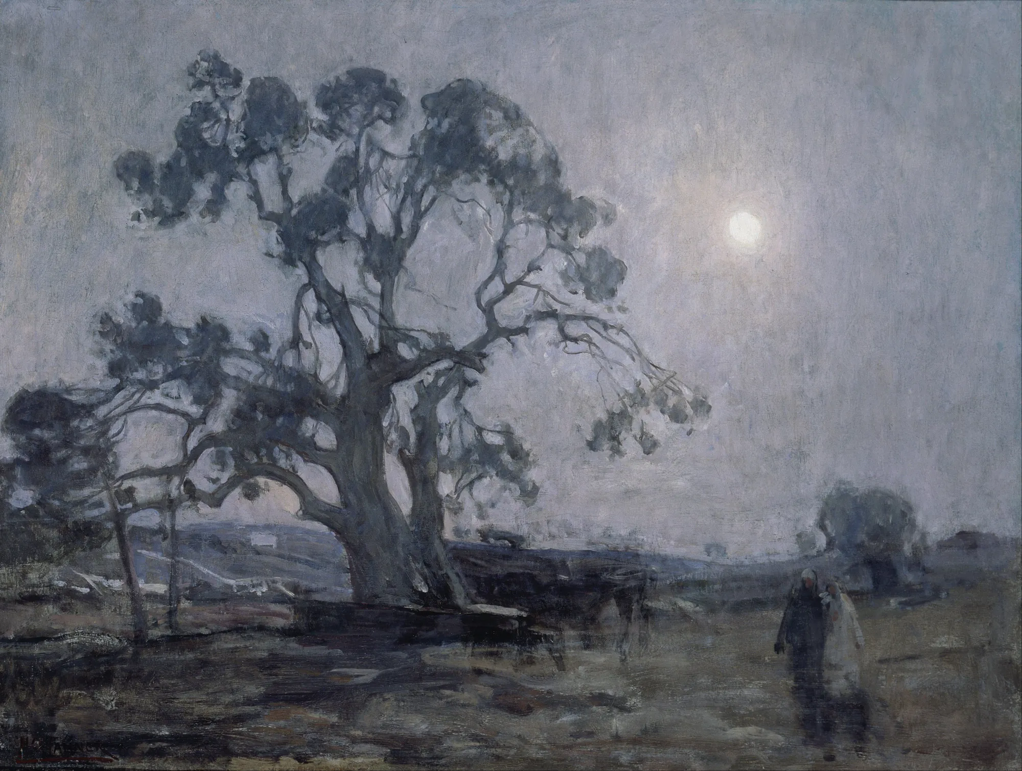Abraham's Oak