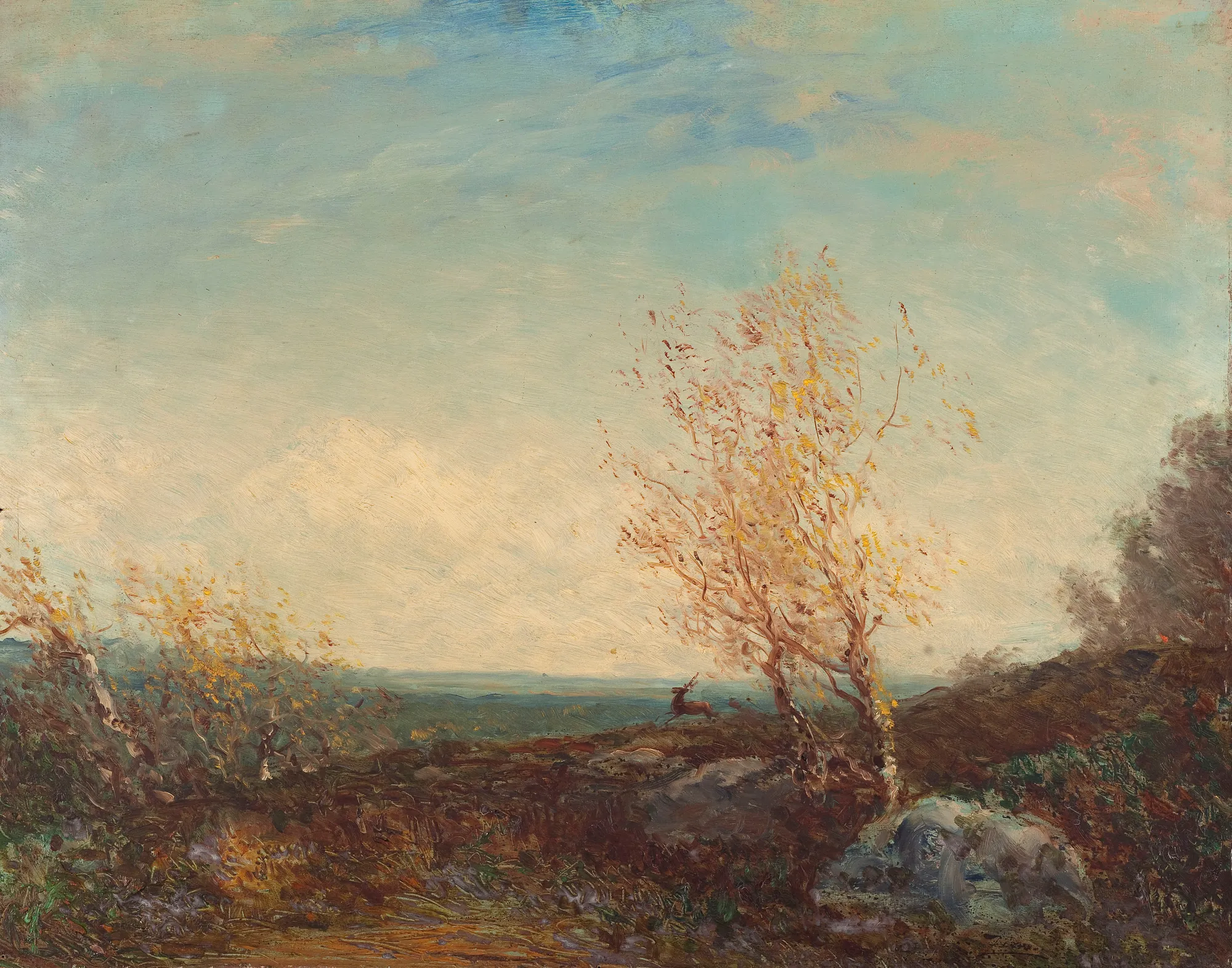 Stag in the Forest of Fontainebleau