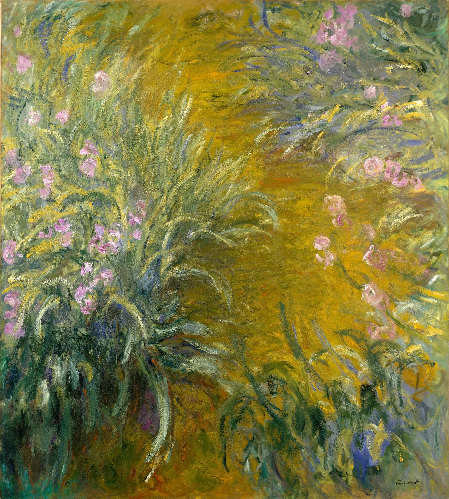 The Path through the Irises