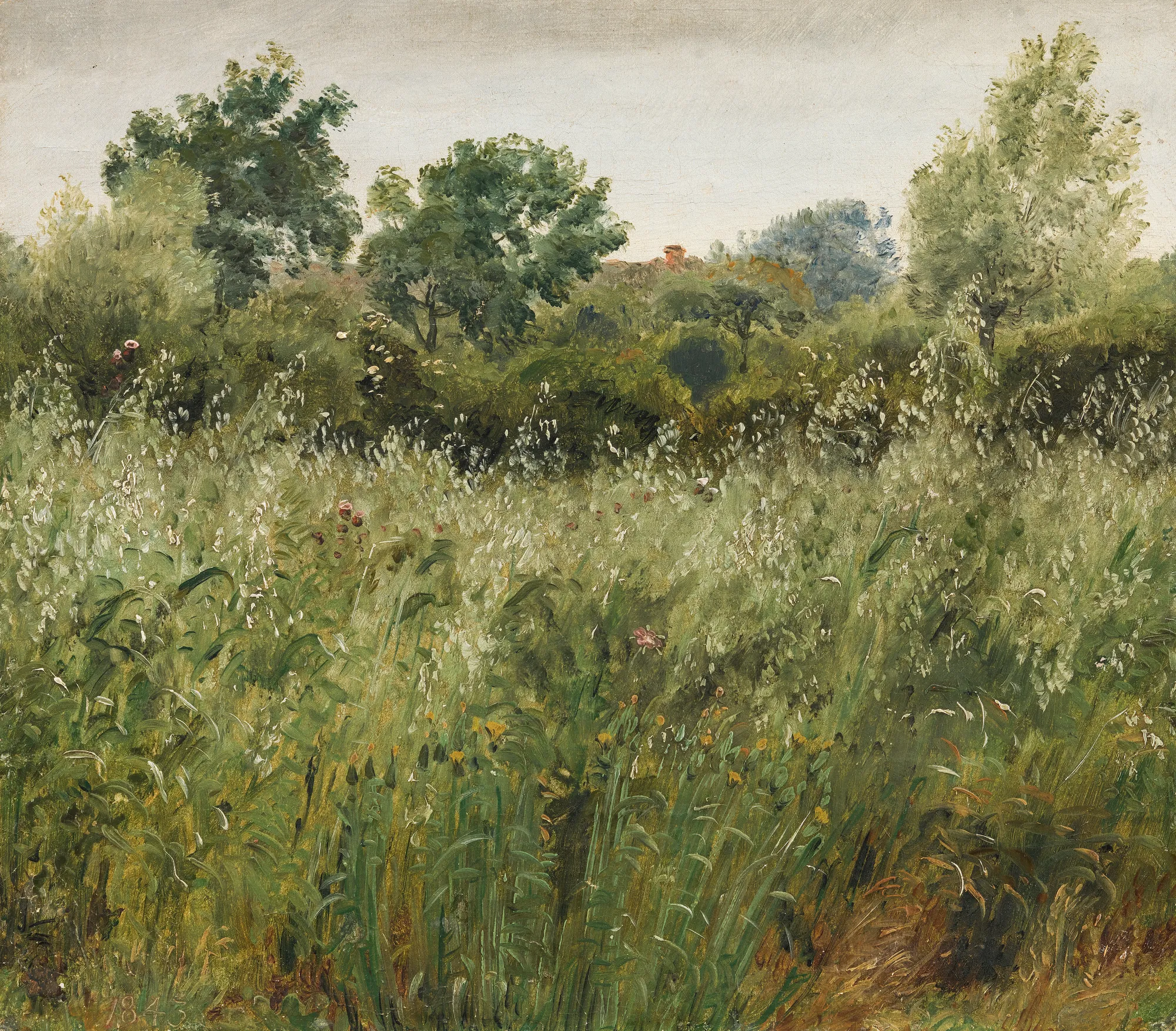 Field of Oats near Vejby