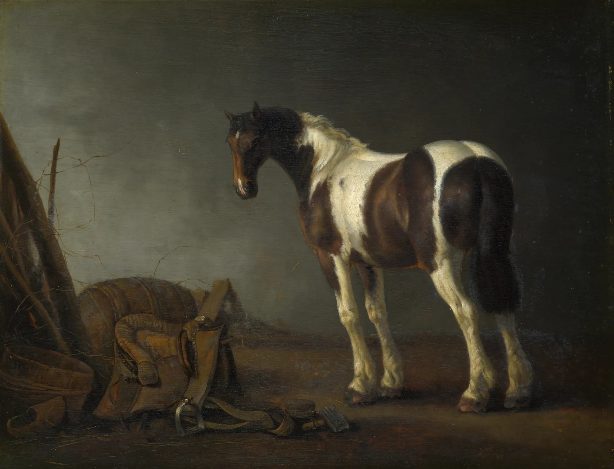 A Horse with a Saddle