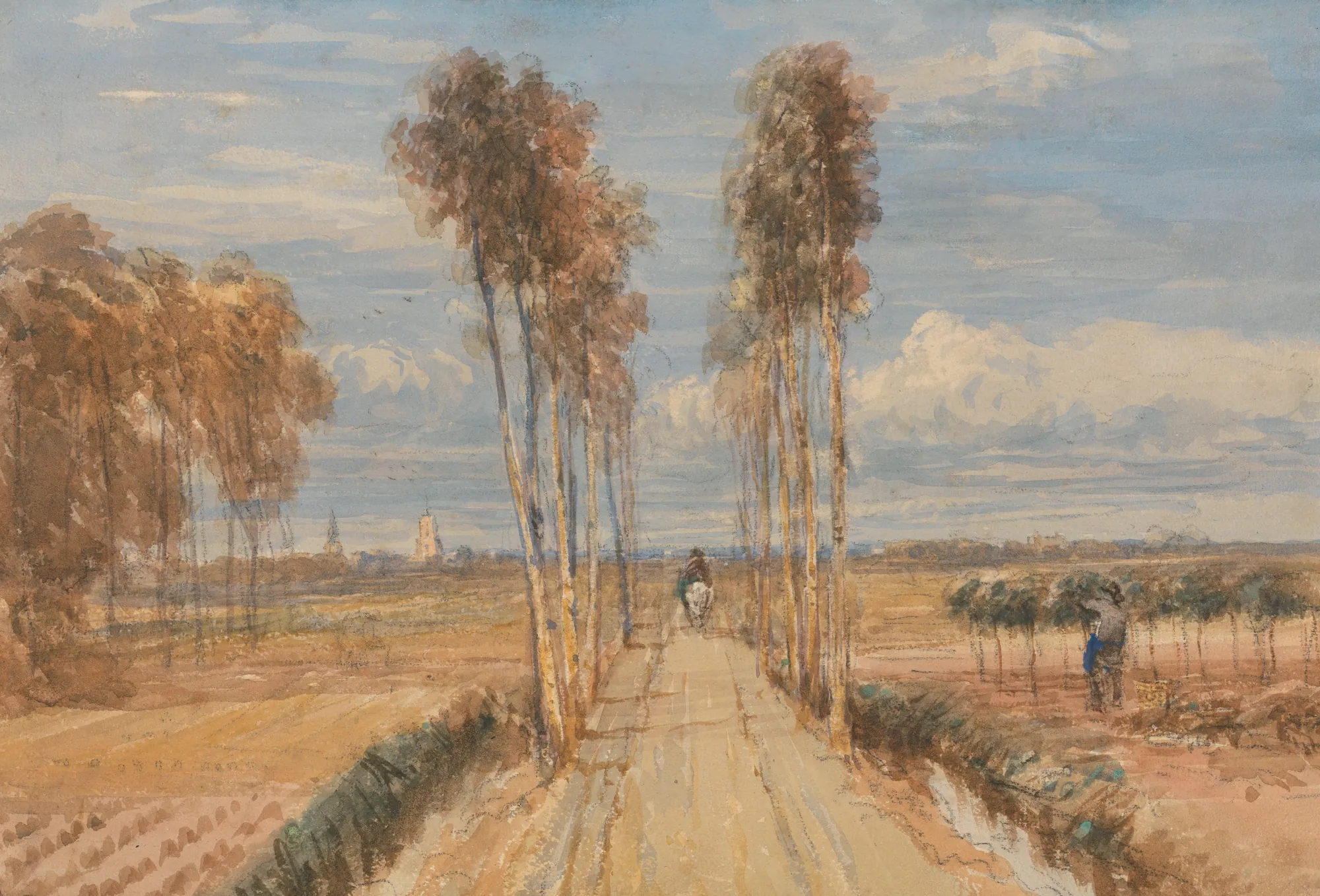 The Poplar Avenue