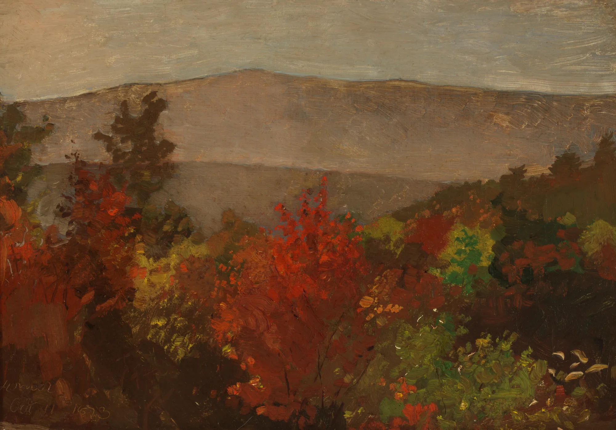 Autumn Tree Tops
