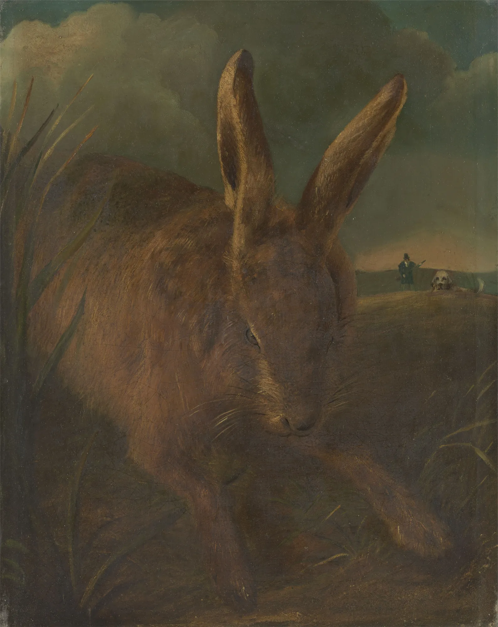 Hare Coursing