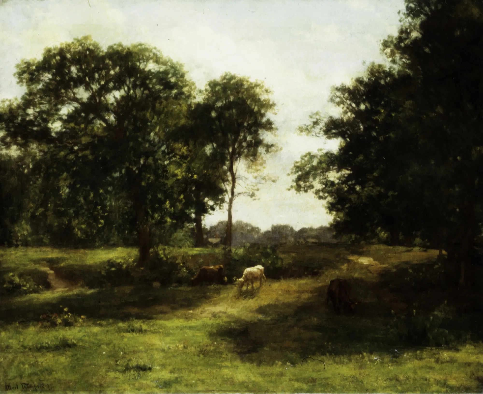 Landscape
