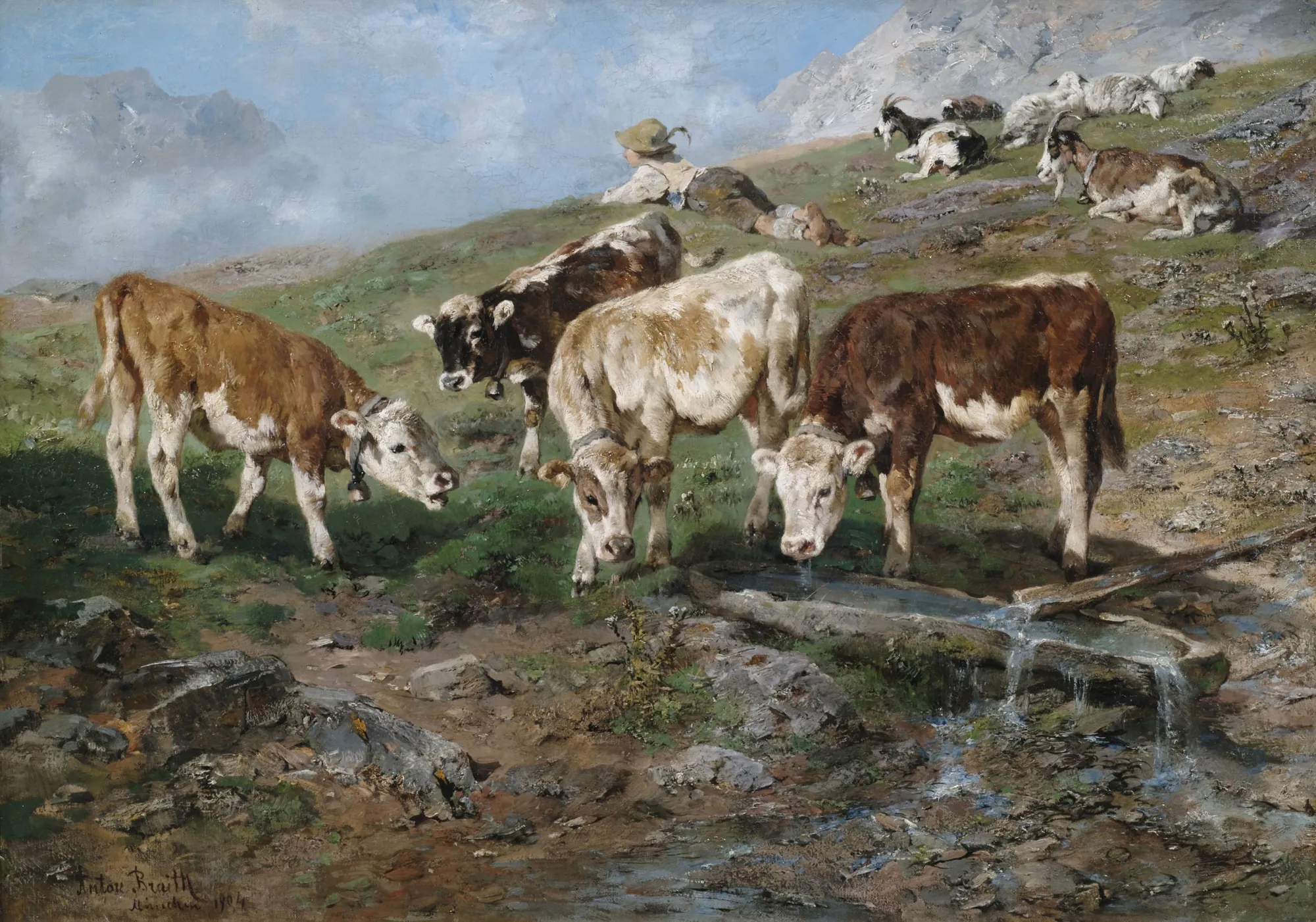 Young Cattle at the Klausen Pass