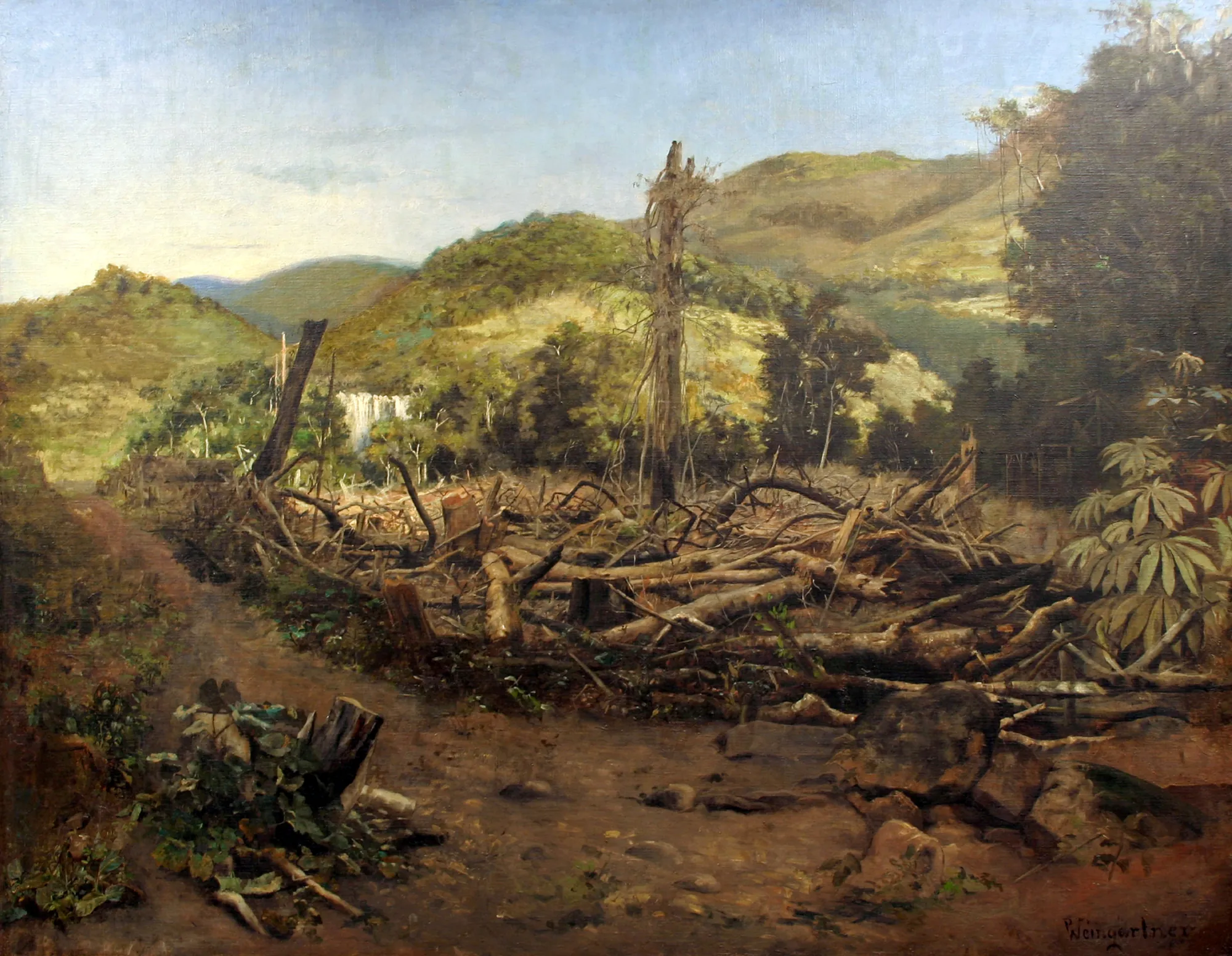 Felling of Trees
