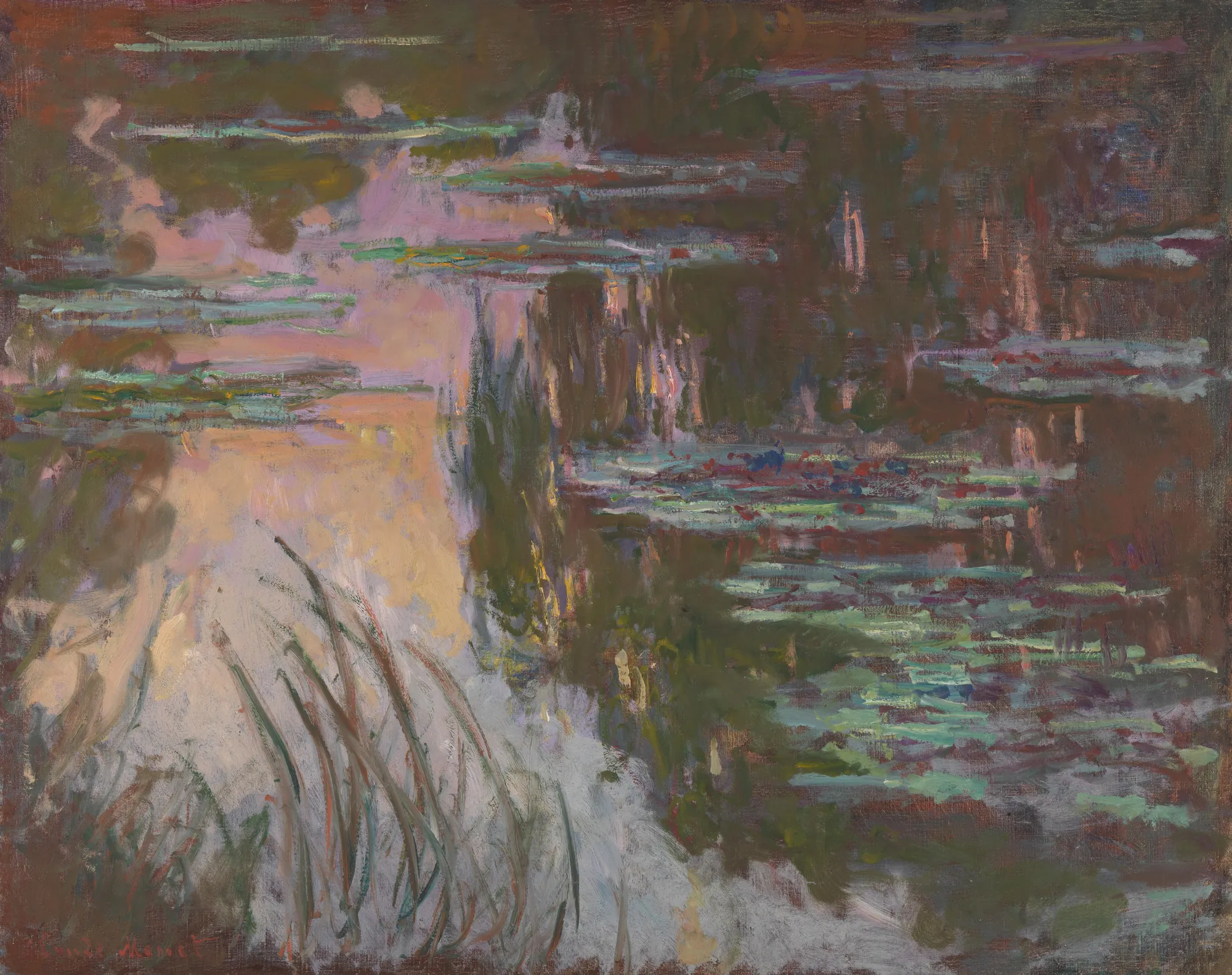 Water Lilies, Setting Sun